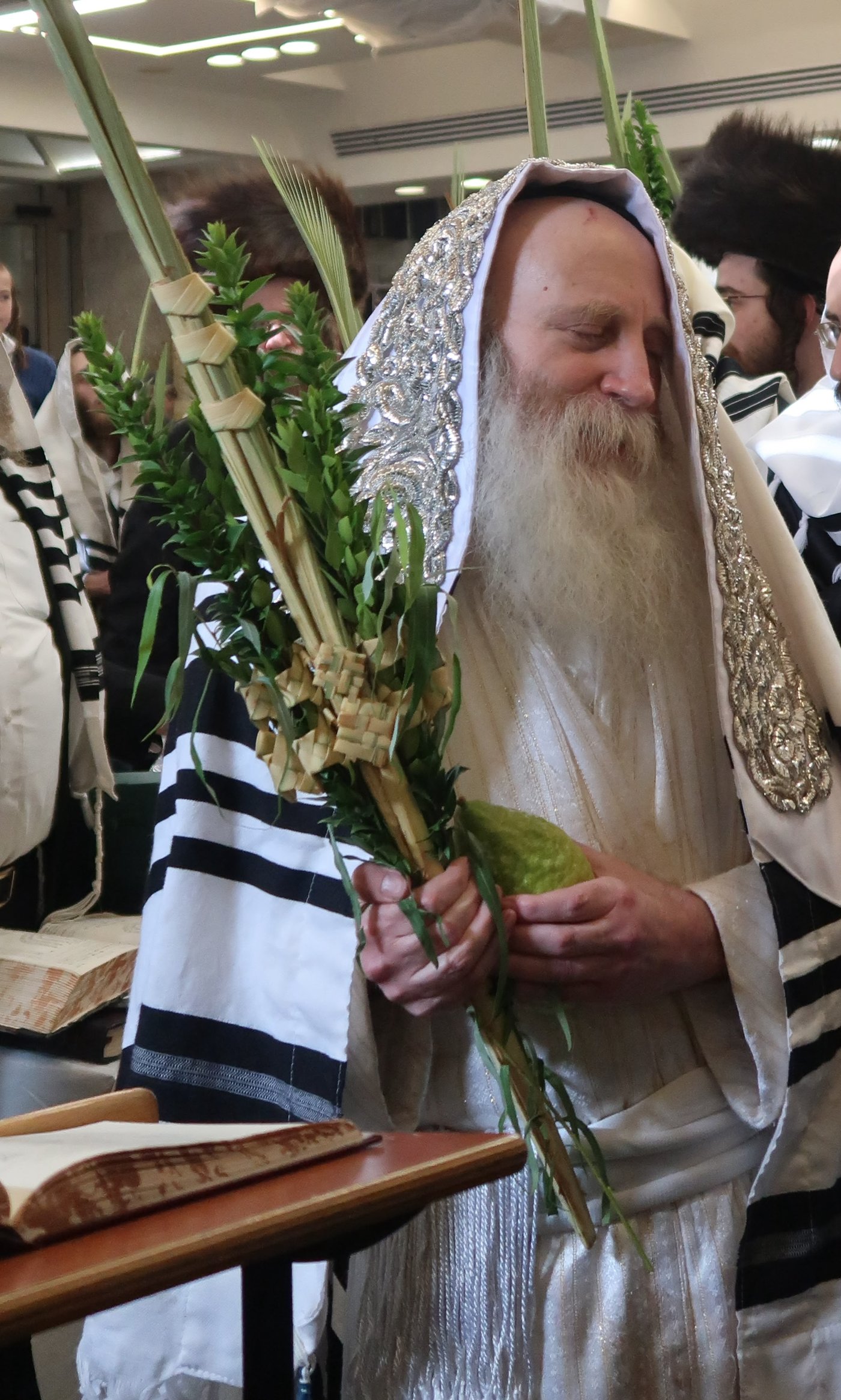 ימי החג אצל האדמו"ר מתורת חכם | צילום: באדיבות המצלם