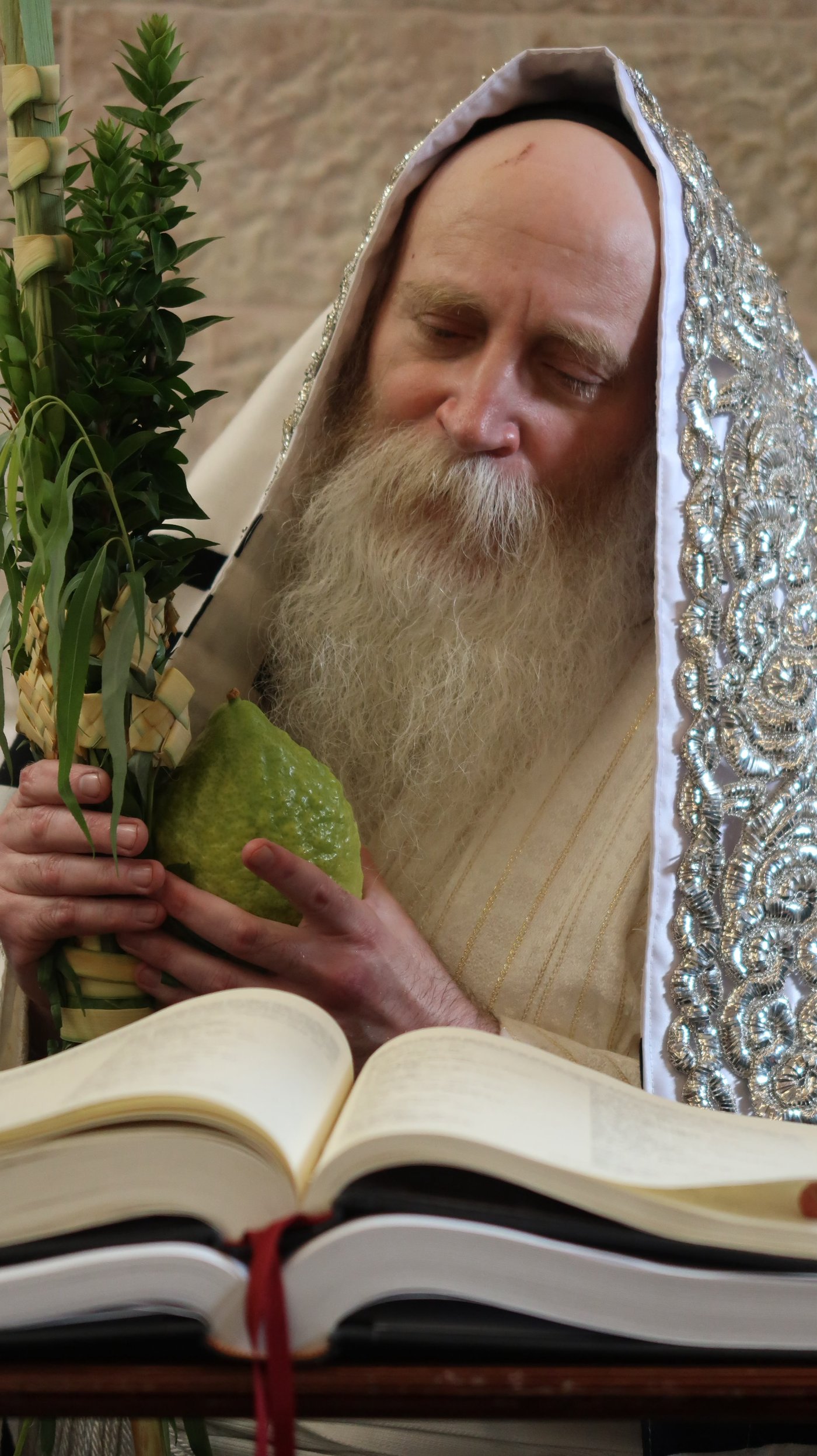 ימי החג אצל האדמו"ר מתורת חכם | צילום: באדיבות המצלם