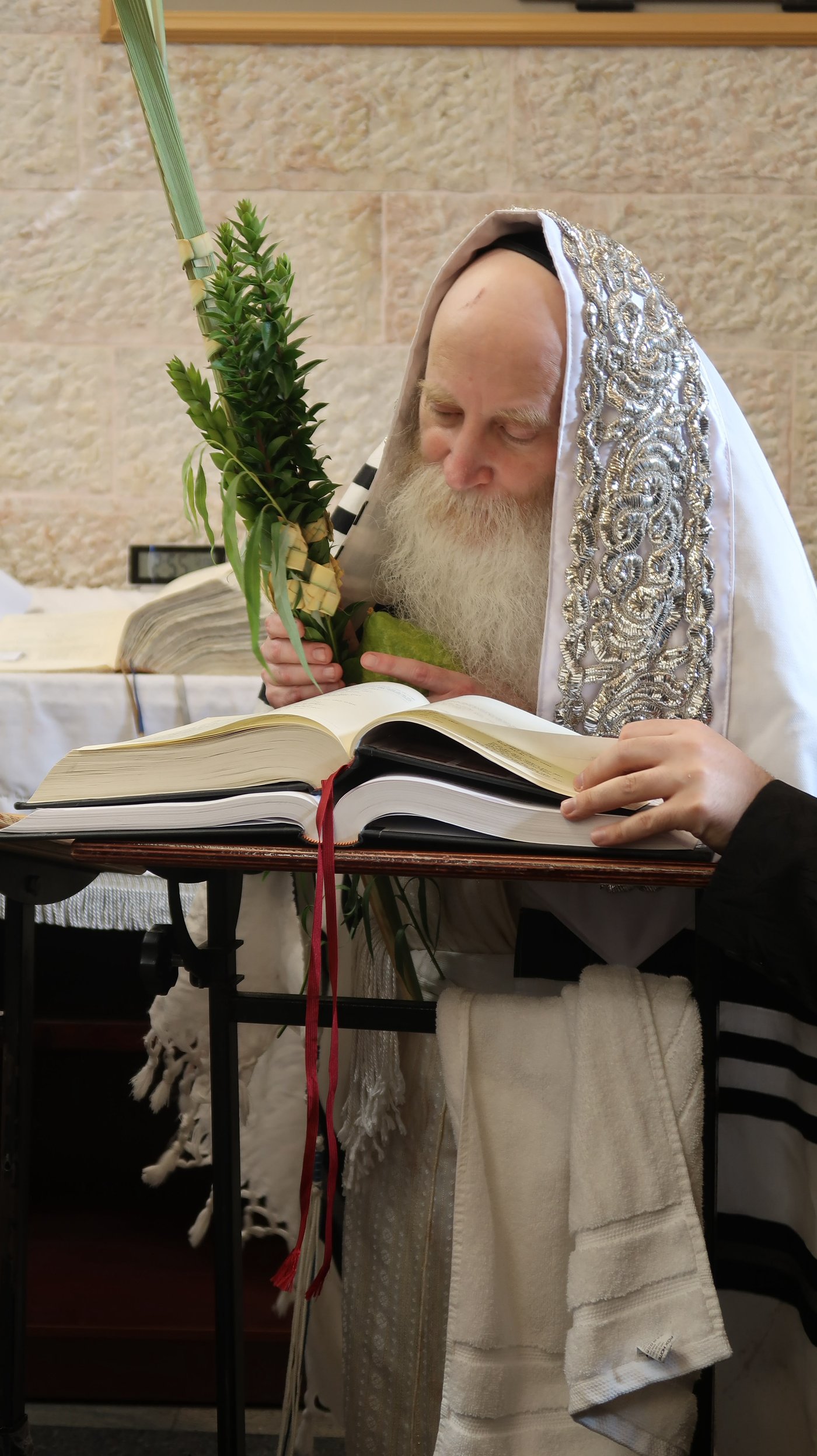ימי החג אצל האדמו"ר מתורת חכם | צילום: באדיבות המצלם