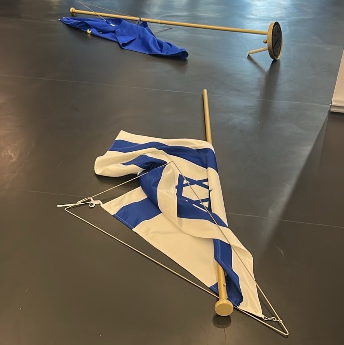דגלי ישראל והאיחוד האירופי מושלכים על הרצפה