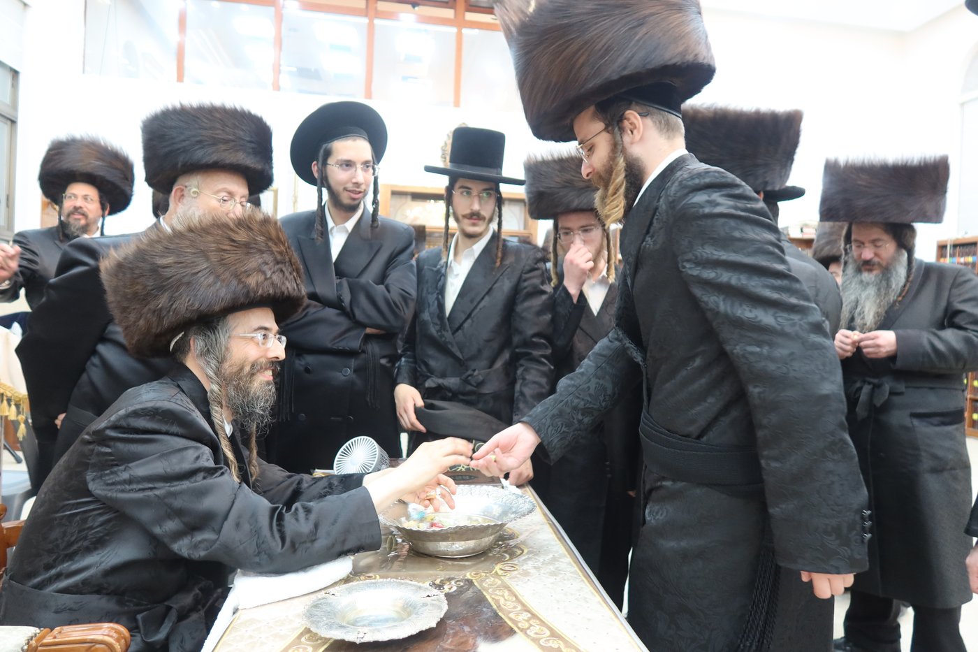 ירח האיתנים בחצר זוועהיל | צילום: שימי פ.