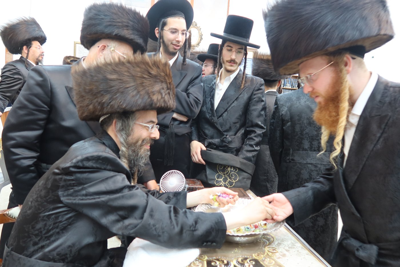 ירח האיתנים בחצר זוועהיל | צילום: שימי פ.