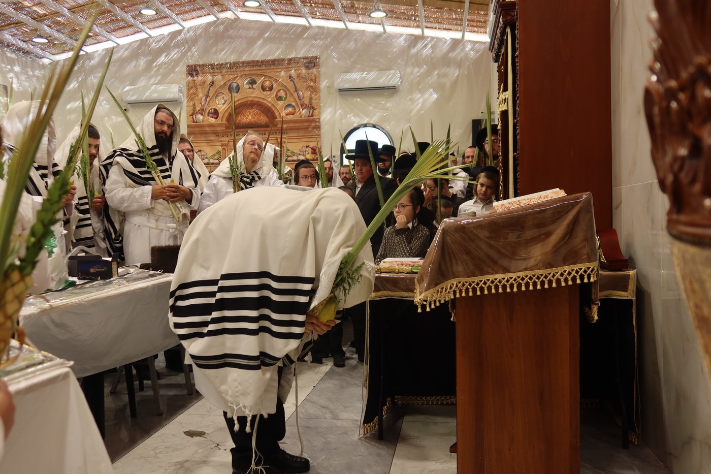 ירח האיתנים בחצר זוועהיל | צילום: שימי פ.