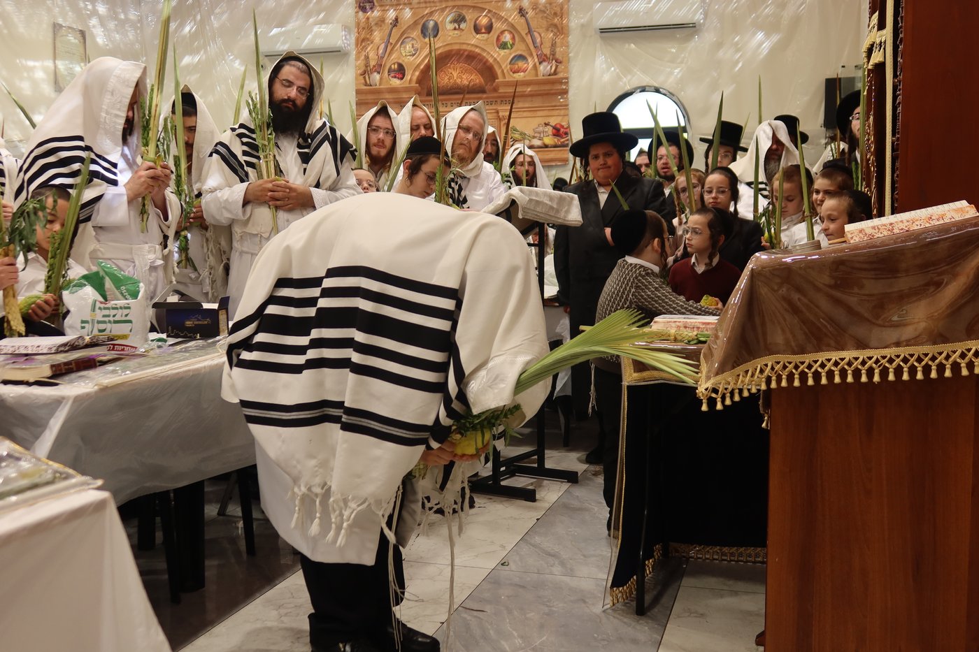 ירח האיתנים בחצר זוועהיל | צילום: שימי פ.