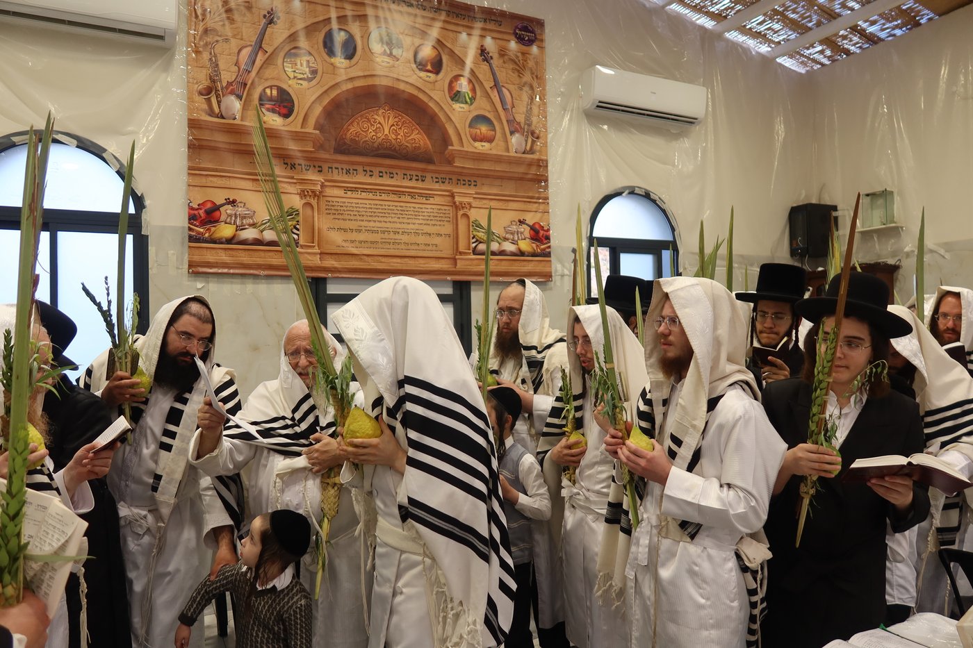 ירח האיתנים בחצר זוועהיל | צילום: שימי פ.