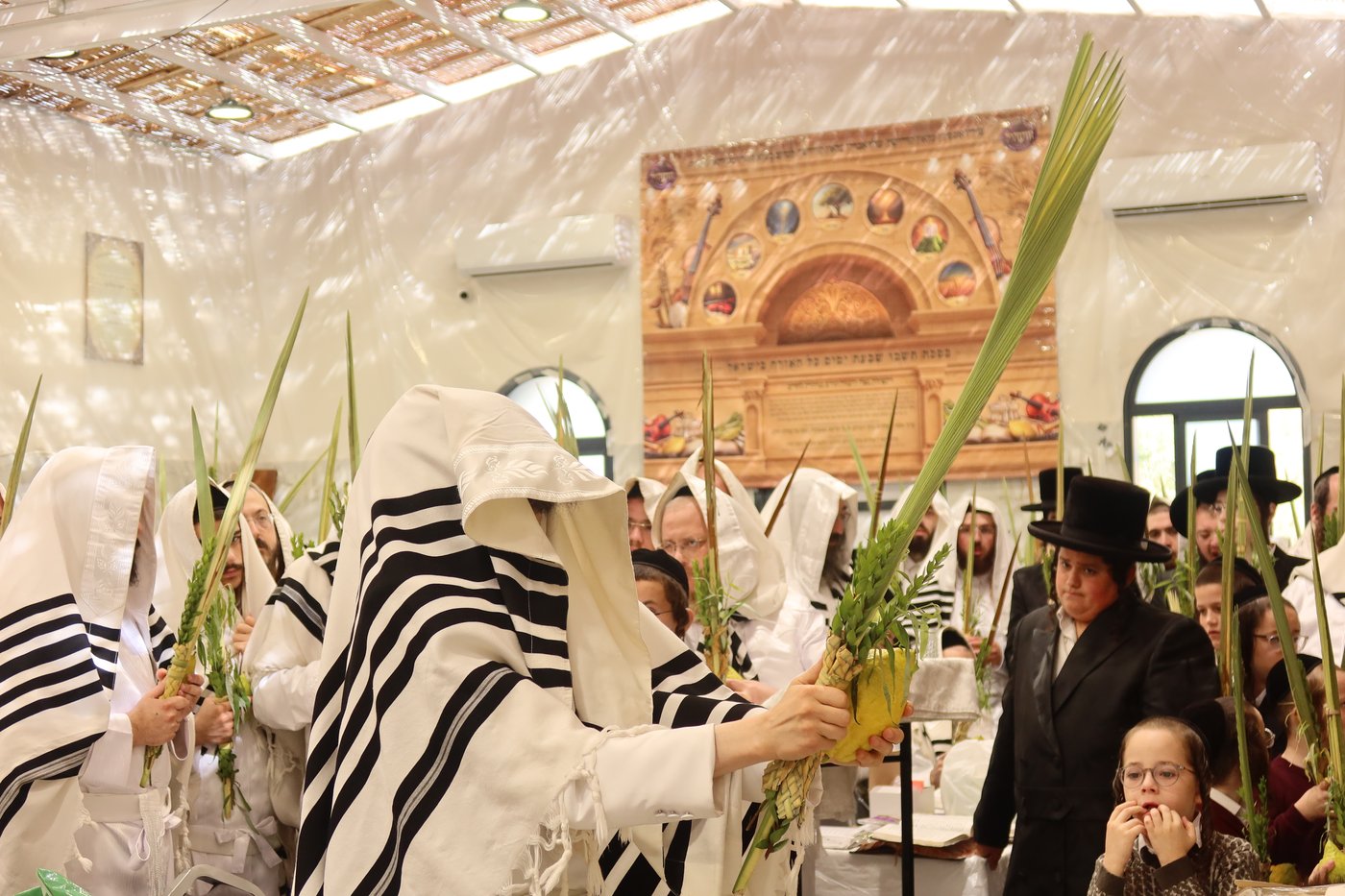 ירח האיתנים בחצר זוועהיל | צילום: שימי פ.
