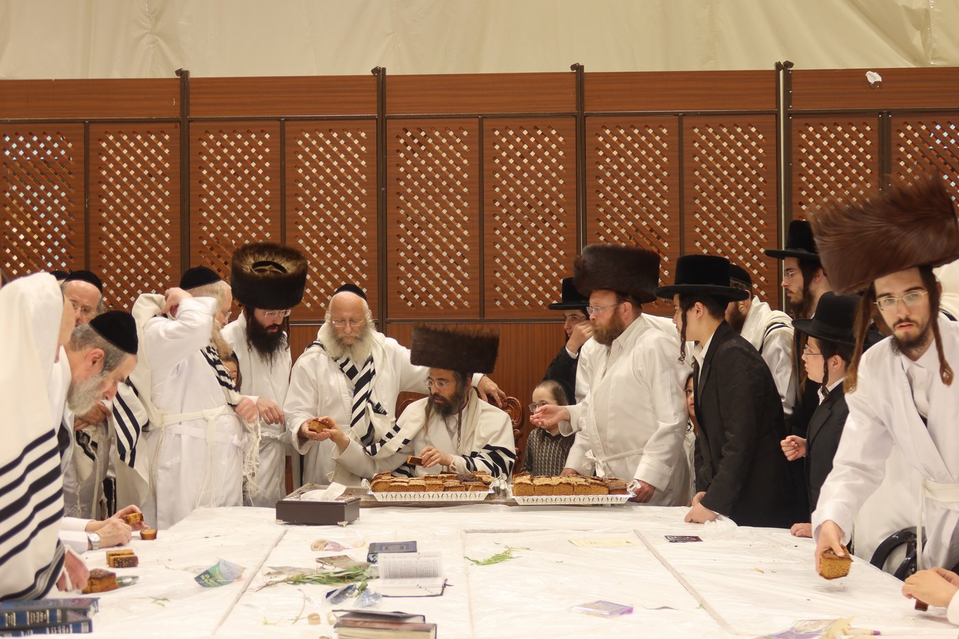 ירח האיתנים בחצר זוועהיל | צילום: שימי פ.
