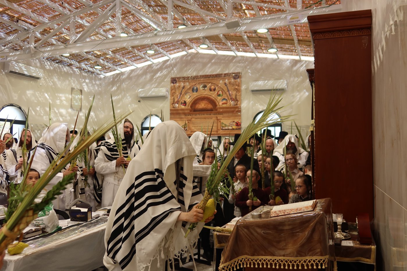 ירח האיתנים בחצר זוועהיל | צילום: שימי פ.