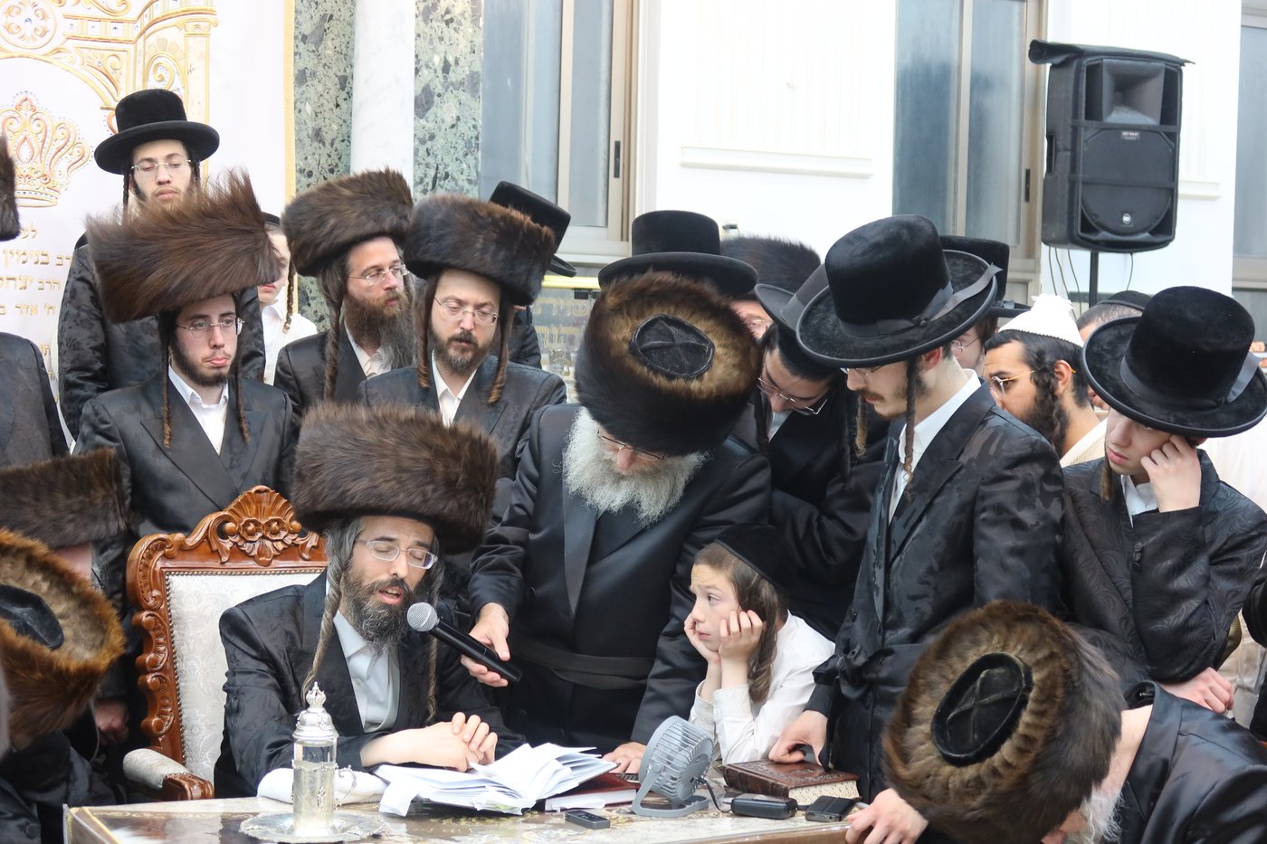 ירח האיתנים בחצר זוועהיל | צילום: שימי פ.
