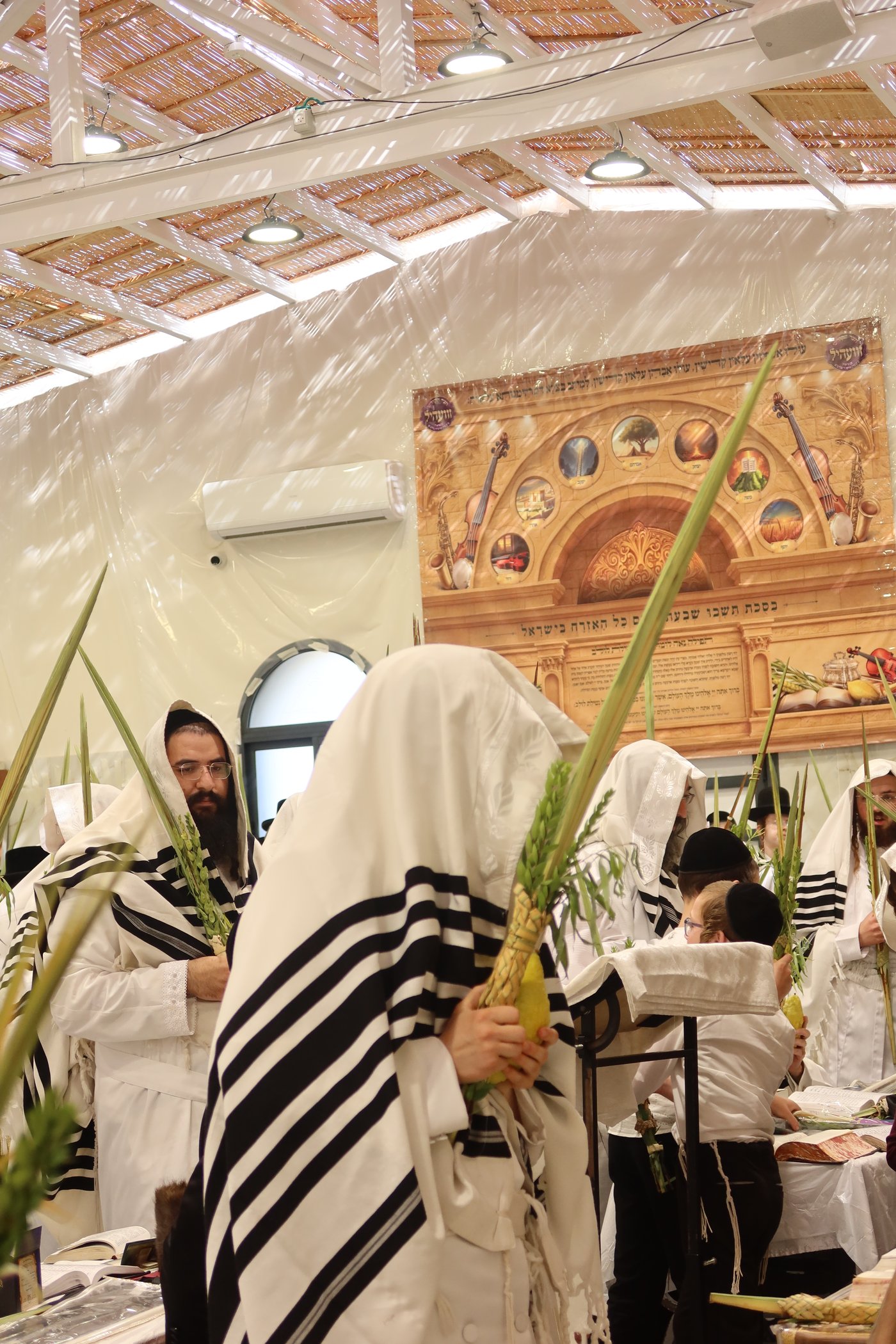 ירח האיתנים בחצר זוועהיל | צילום: שימי פ.