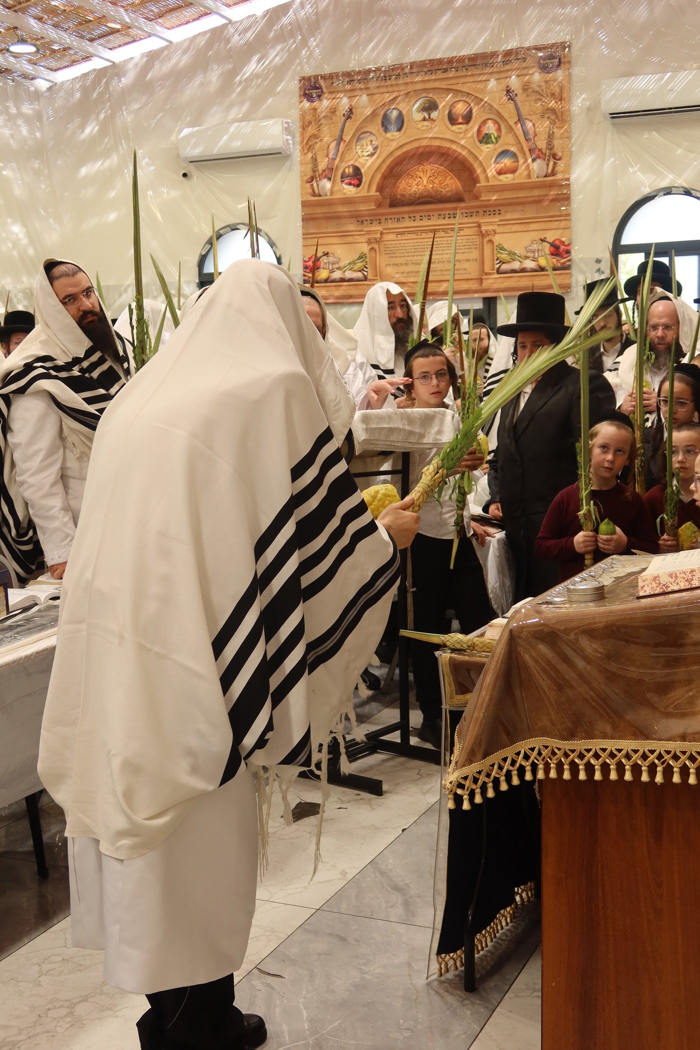 ירח האיתנים בחצר זוועהיל | צילום: שימי פ.