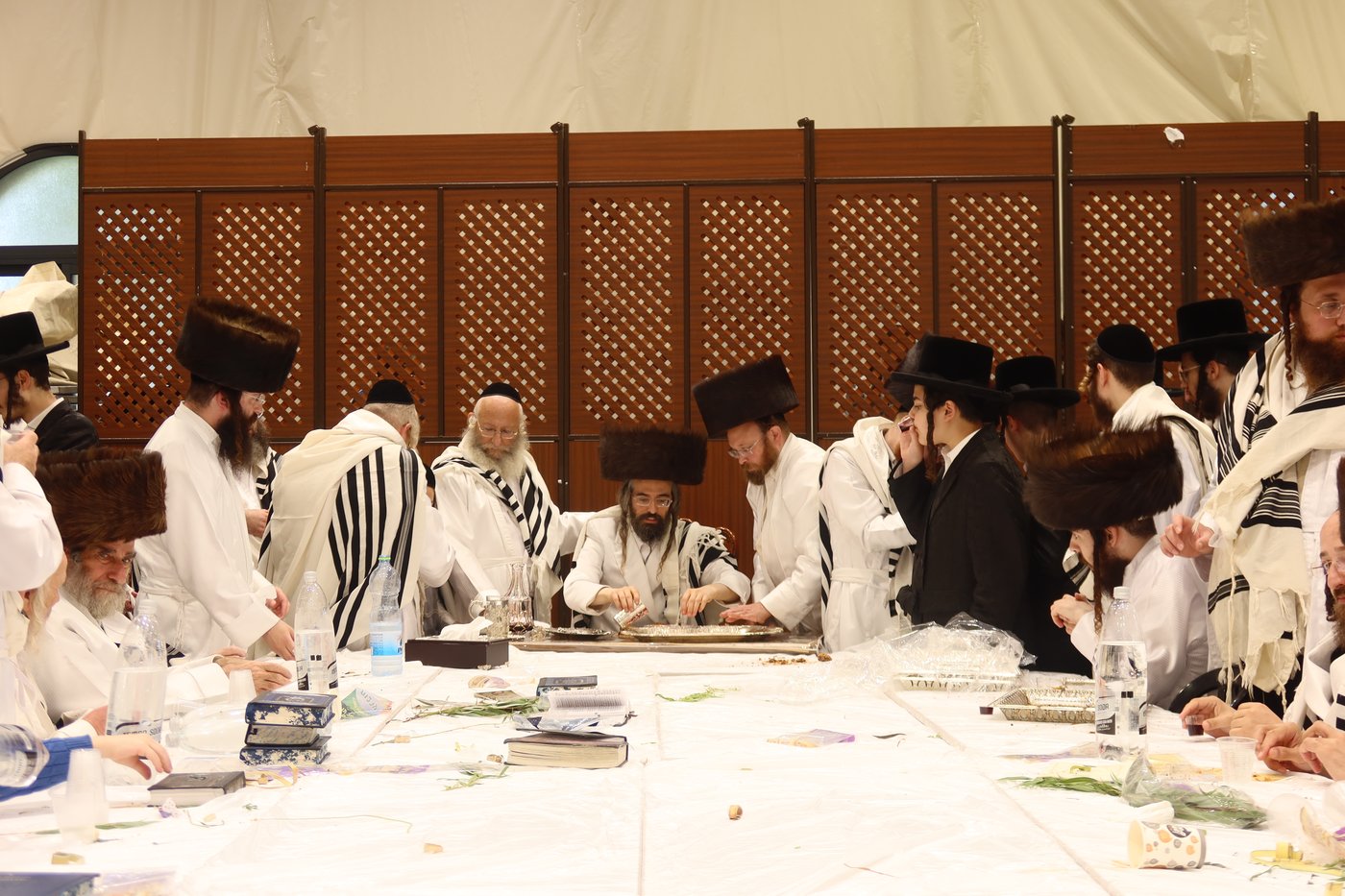 ירח האיתנים בחצר זוועהיל | צילום: שימי פ.