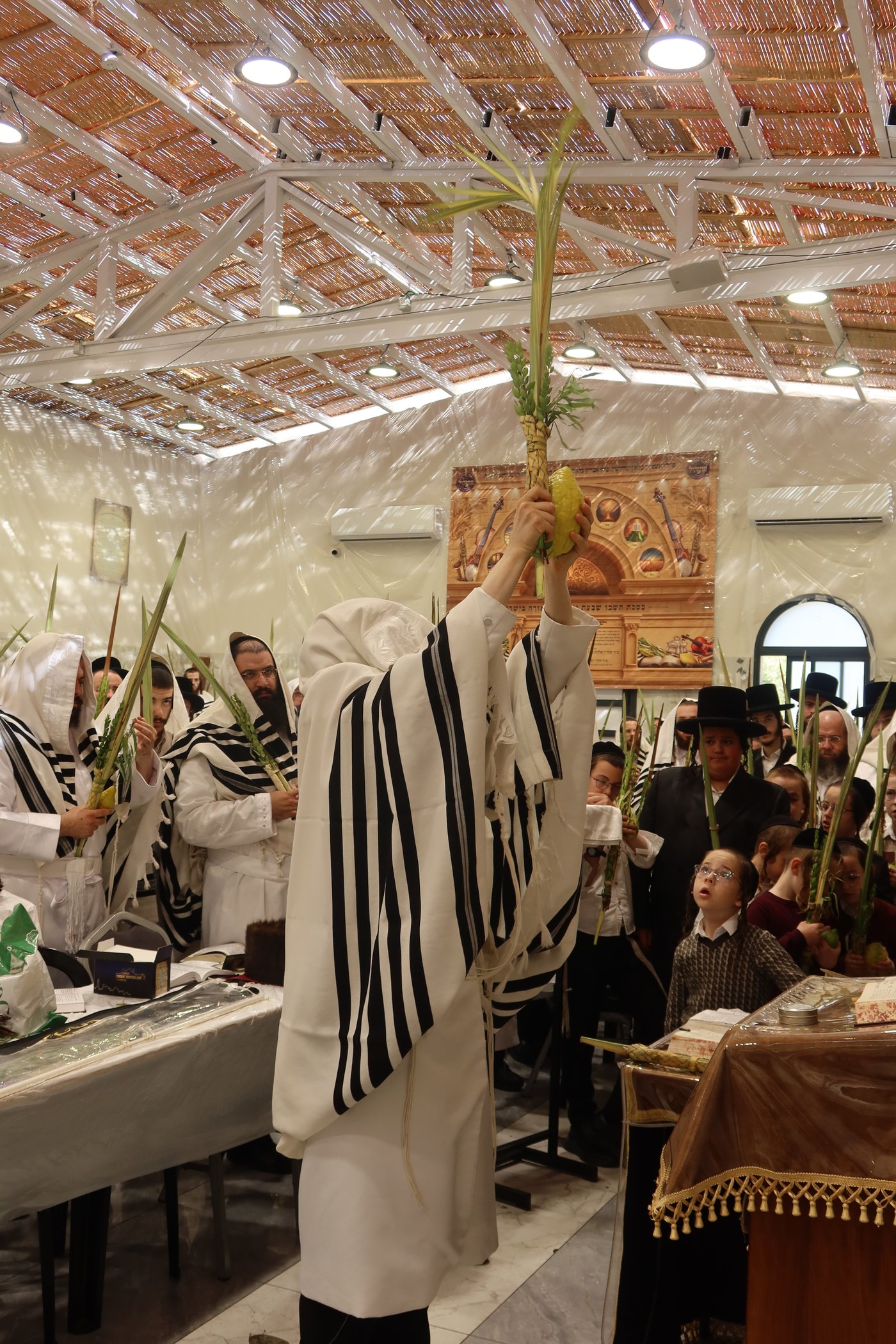 ירח האיתנים בחצר זוועהיל | צילום: שימי פ.