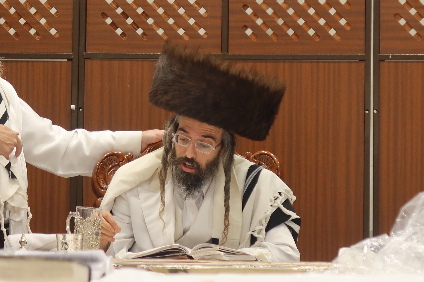 ירח האיתנים בחצר זוועהיל | צילום: שימי פ.