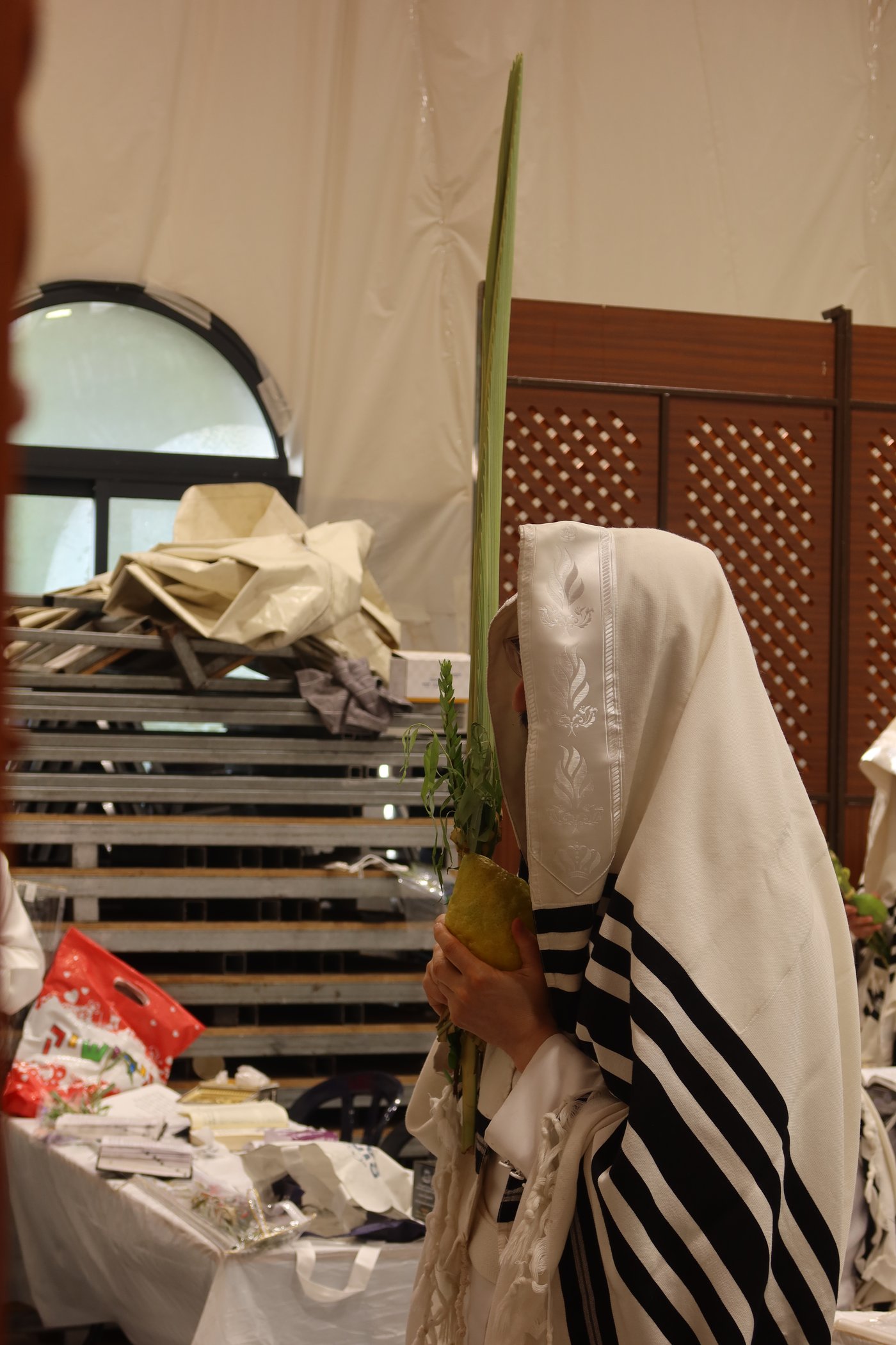 ירח האיתנים בחצר זוועהיל | צילום: שימי פ.