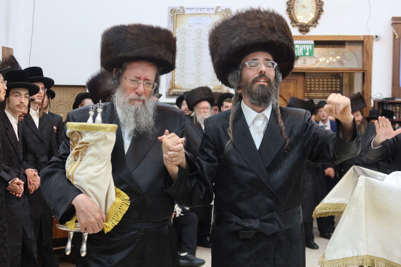 ירח האיתנים בחצר זוועהיל | צילום: שימי פ.