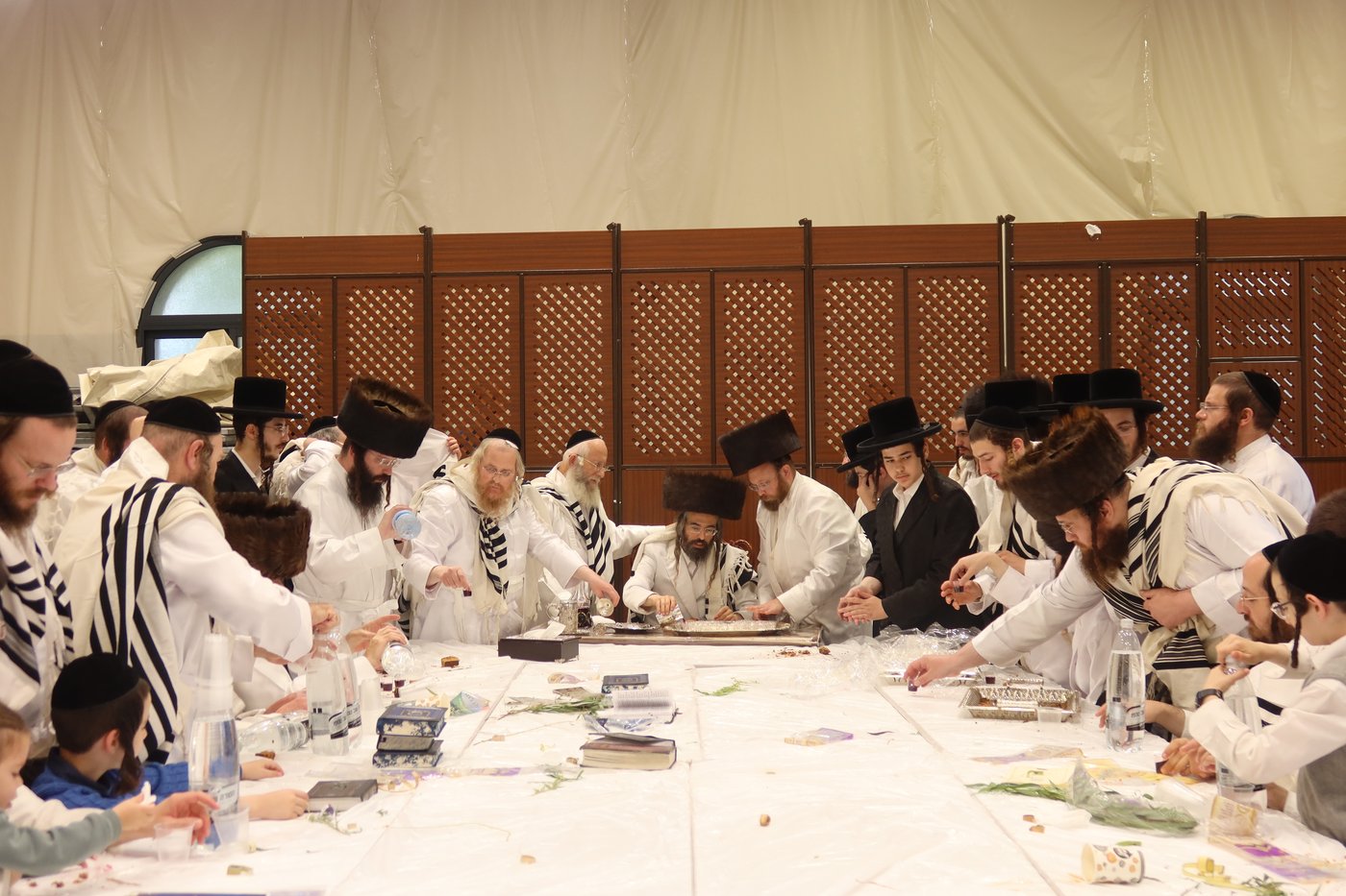 ירח האיתנים בחצר זוועהיל | צילום: שימי פ.