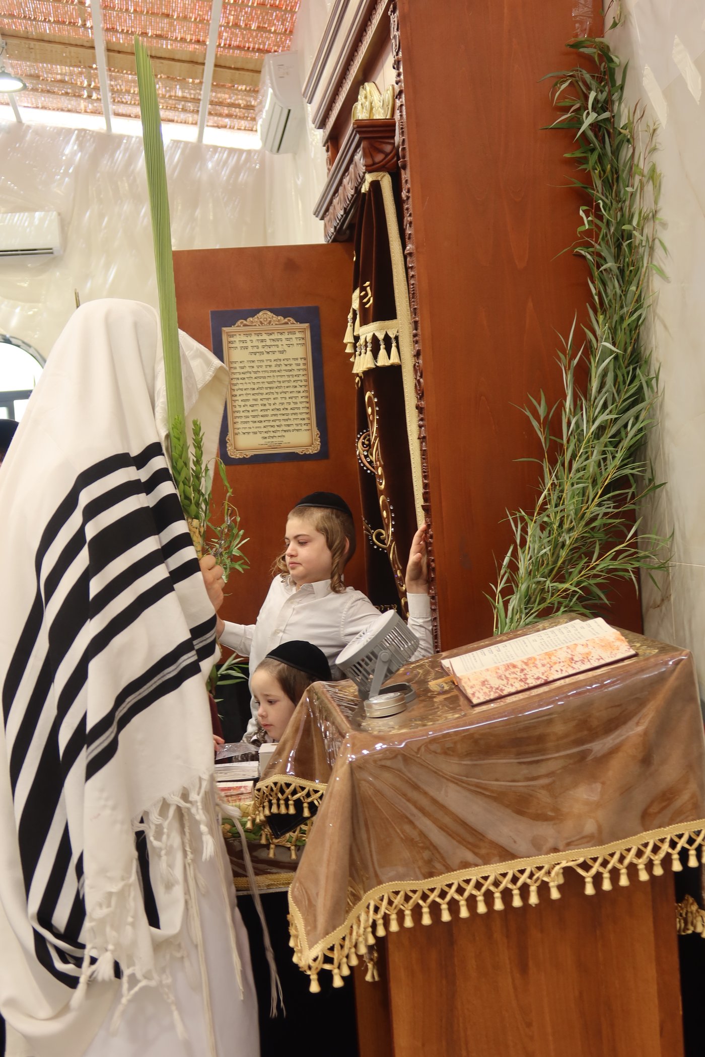 ירח האיתנים בחצר זוועהיל | צילום: שימי פ.