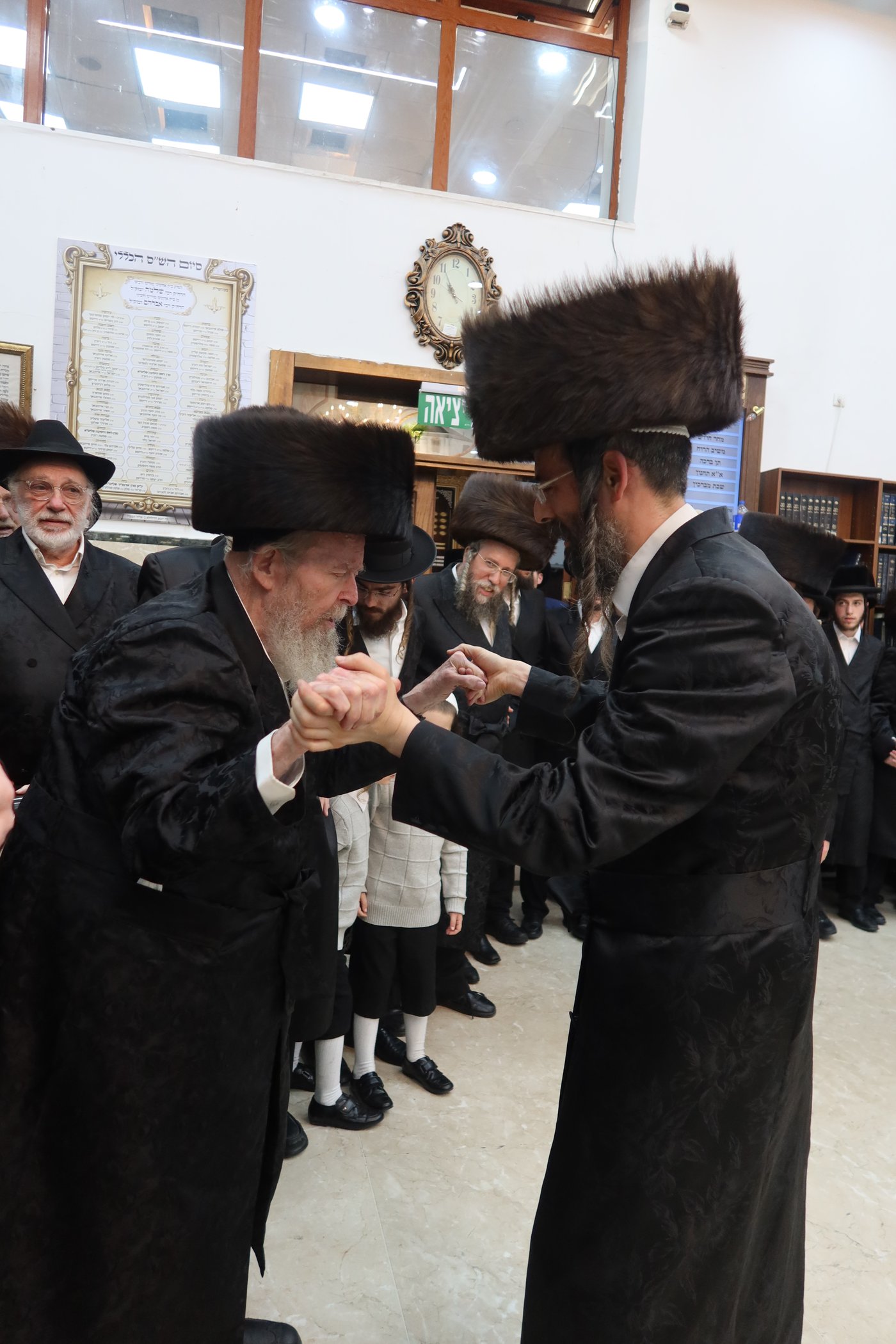 ירח האיתנים בחצר זוועהיל | צילום: שימי פ.