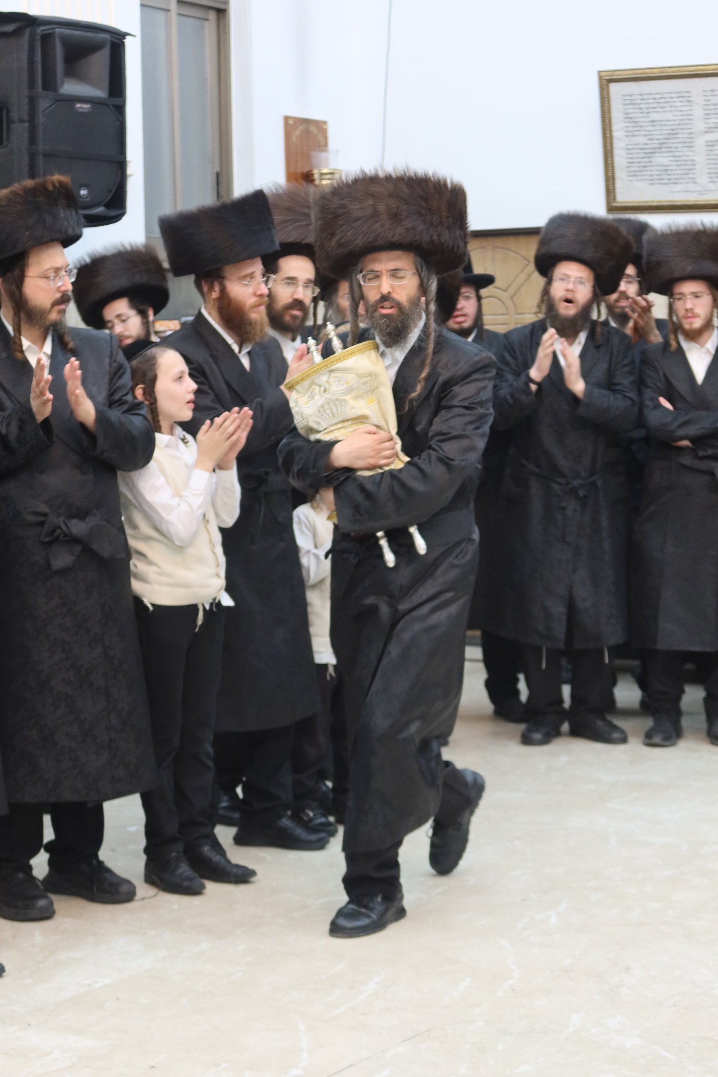 ירח האיתנים בחצר זוועהיל | צילום: שימי פ.