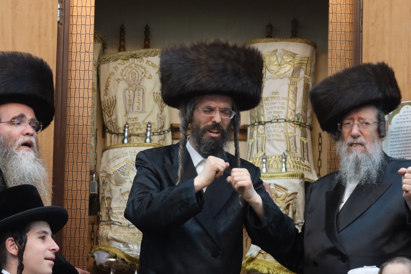 ירח האיתנים בחצר זוועהיל | צילום: שימי פ.