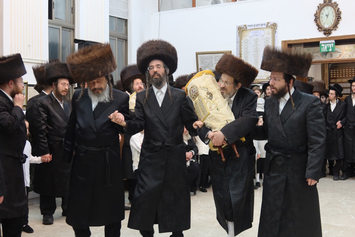 ירח האיתנים בחצר זוועהיל | צילום: שימי פ.