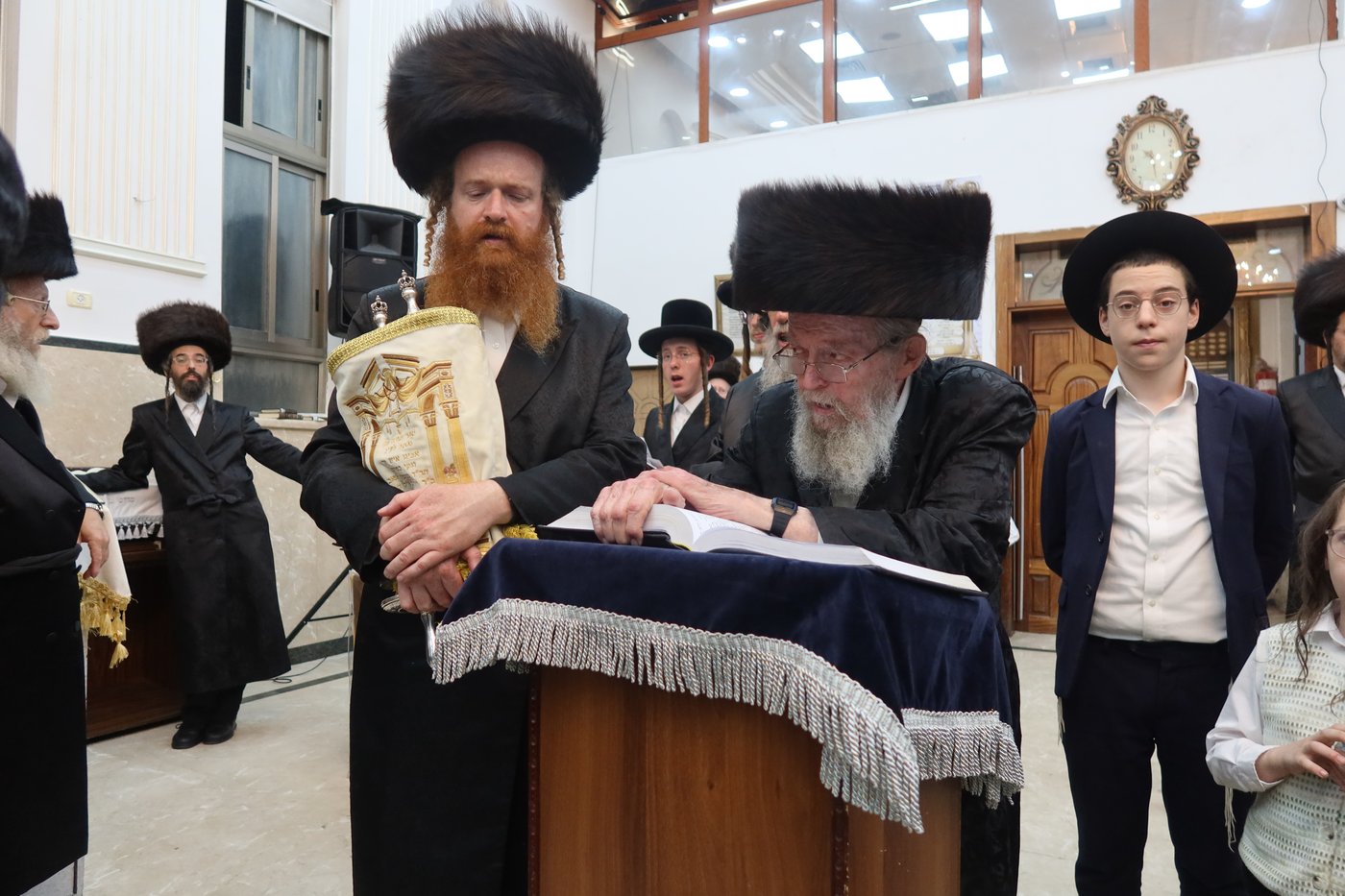 ירח האיתנים בחצר זוועהיל | צילום: שימי פ.