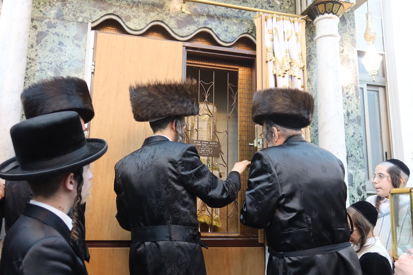 ירח האיתנים בחצר זוועהיל | צילום: שימי פ.