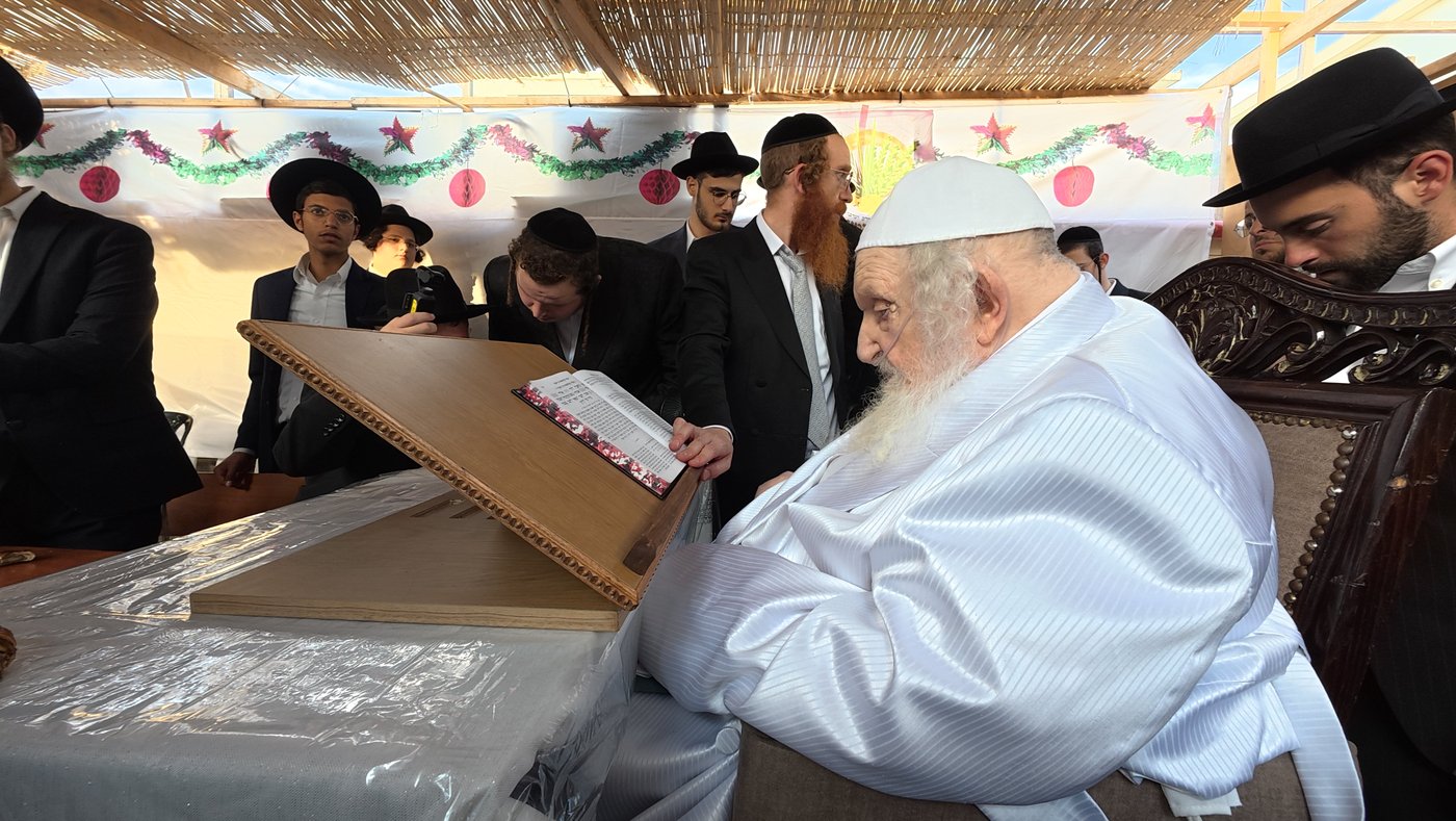 הגאון רבי משה שטרנבוך שליט"א בהקפות שניות | צילום: באדיבות המצלם