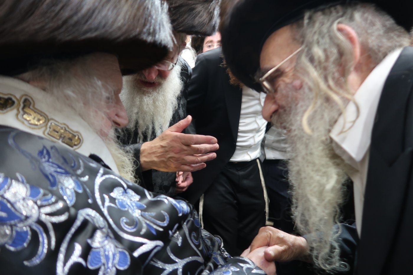 הגאון רבי משה שטרנבוך שליט"א בהקפות שניות | צילום: באדיבות המצלם