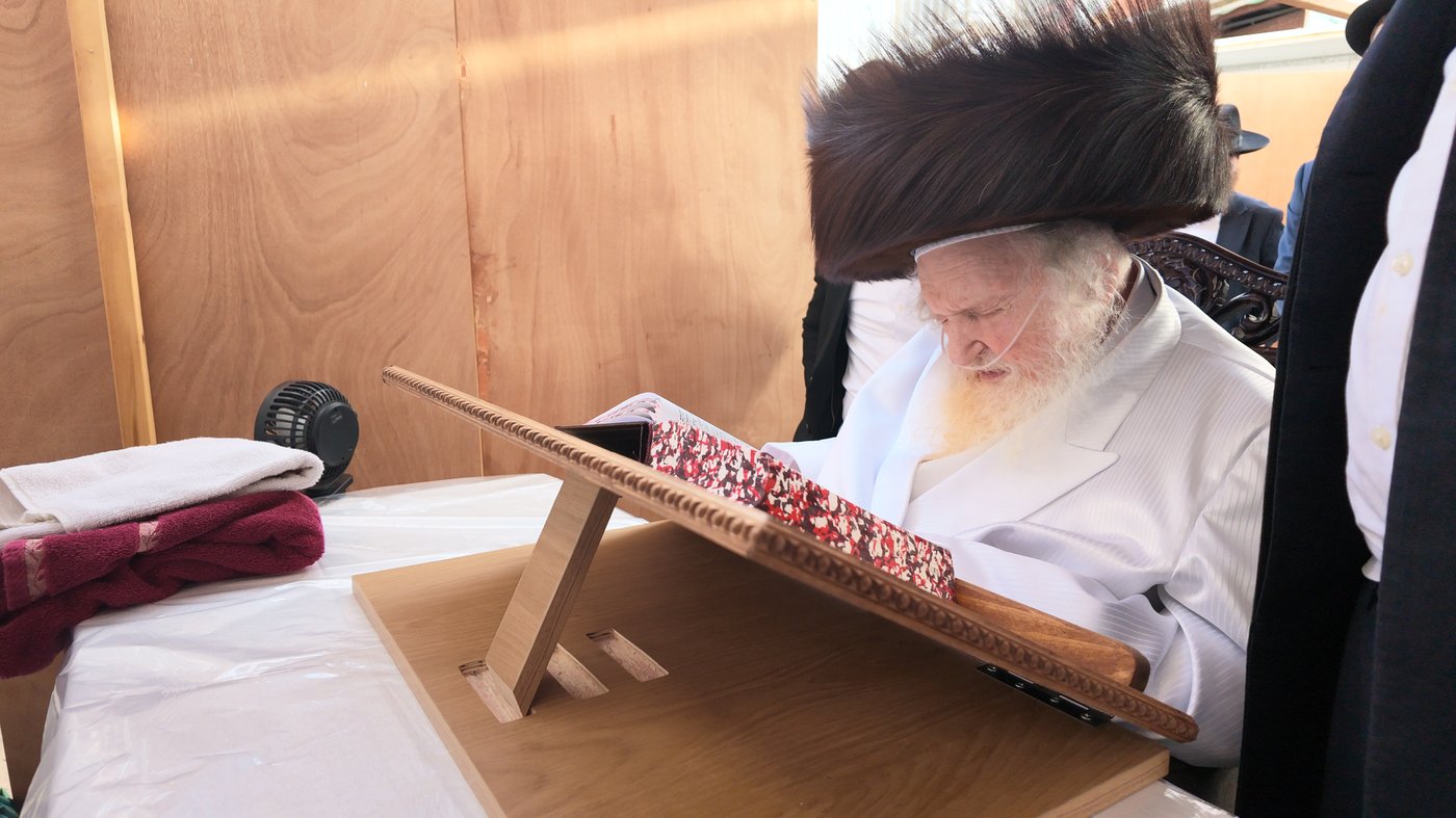 הגאון רבי משה שטרנבוך שליט"א בהקפות שניות | צילום: באדיבות המצלם