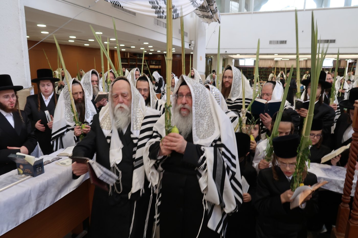 ירח האיתנים בחצר הקודש נדבורנה | צילום: שוקי לרר, אברומי בערגער, מ.ש.