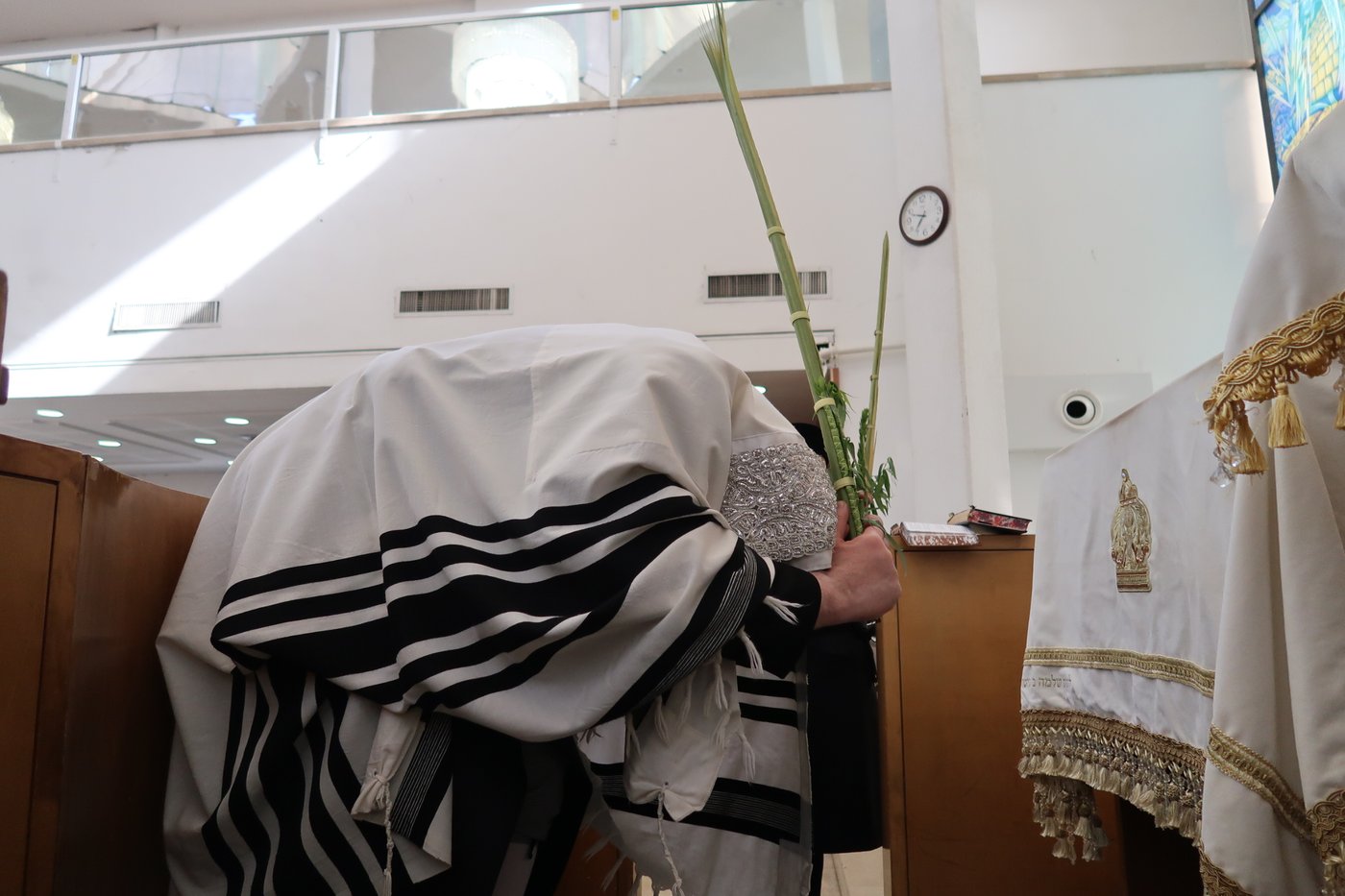 ירח האיתנים בחצר הקודש נדבורנה | צילום: שוקי לרר, אברומי בערגער, מ.ש.