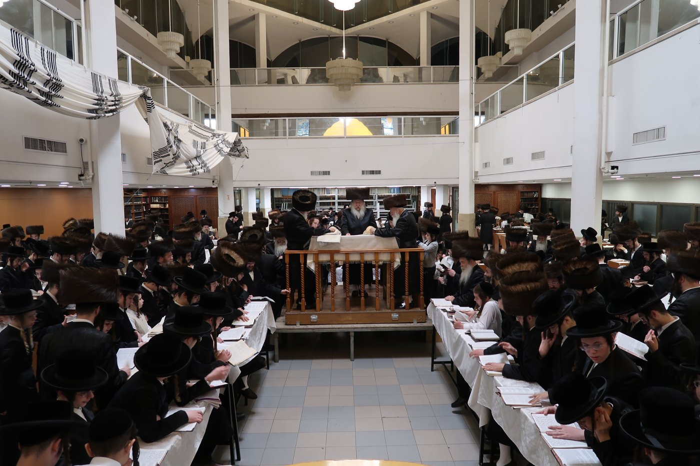 ירח האיתנים בחצר הקודש נדבורנה | צילום: שוקי לרר, אברומי בערגער, מ.ש.