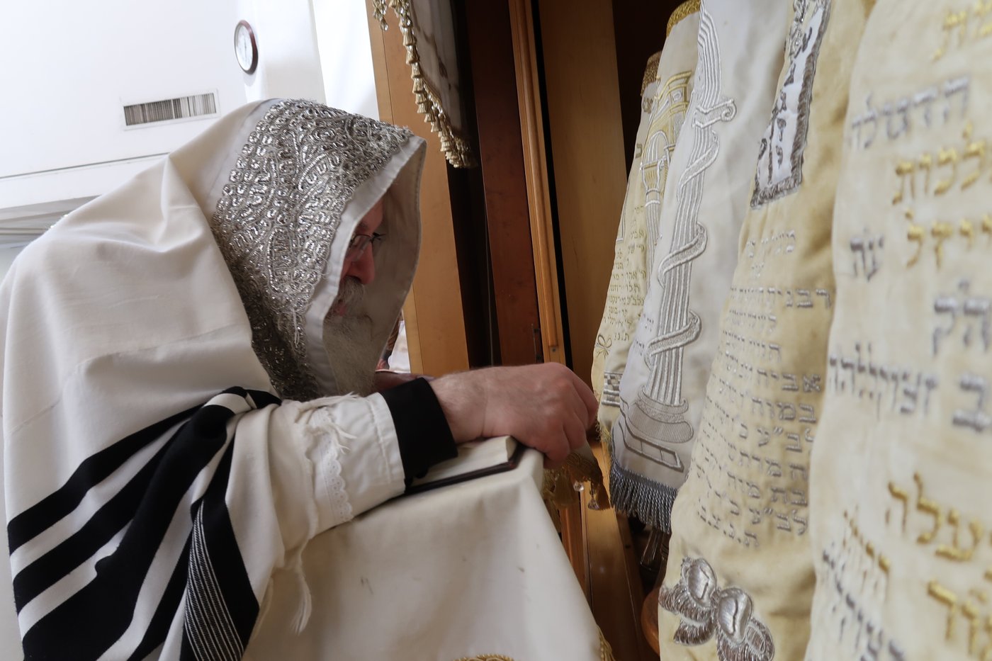 ירח האיתנים בחצר הקודש נדבורנה | צילום: שוקי לרר, אברומי בערגער, מ.ש.