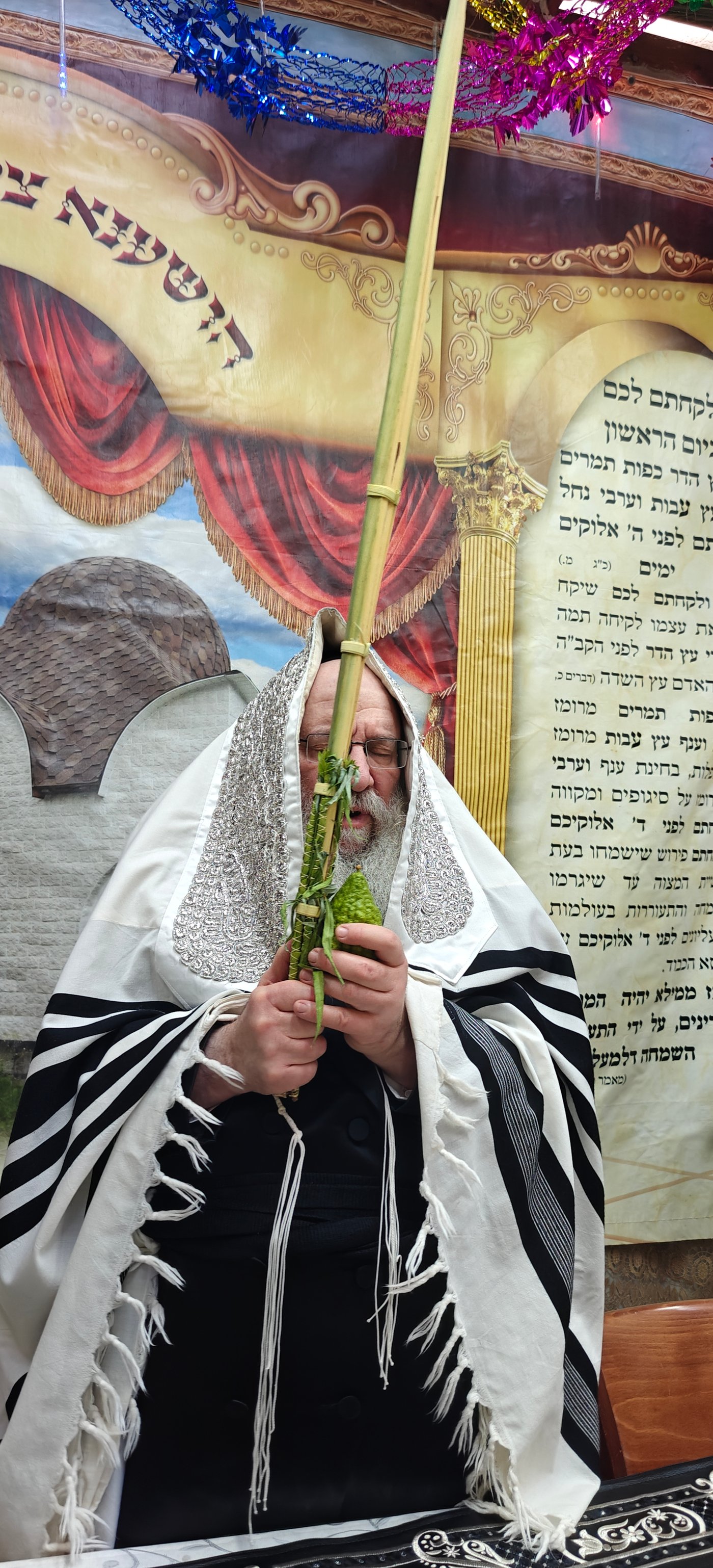 ירח האיתנים בחצר הקודש נדבורנה | צילום: שוקי לרר, אברומי בערגער, מ.ש.
