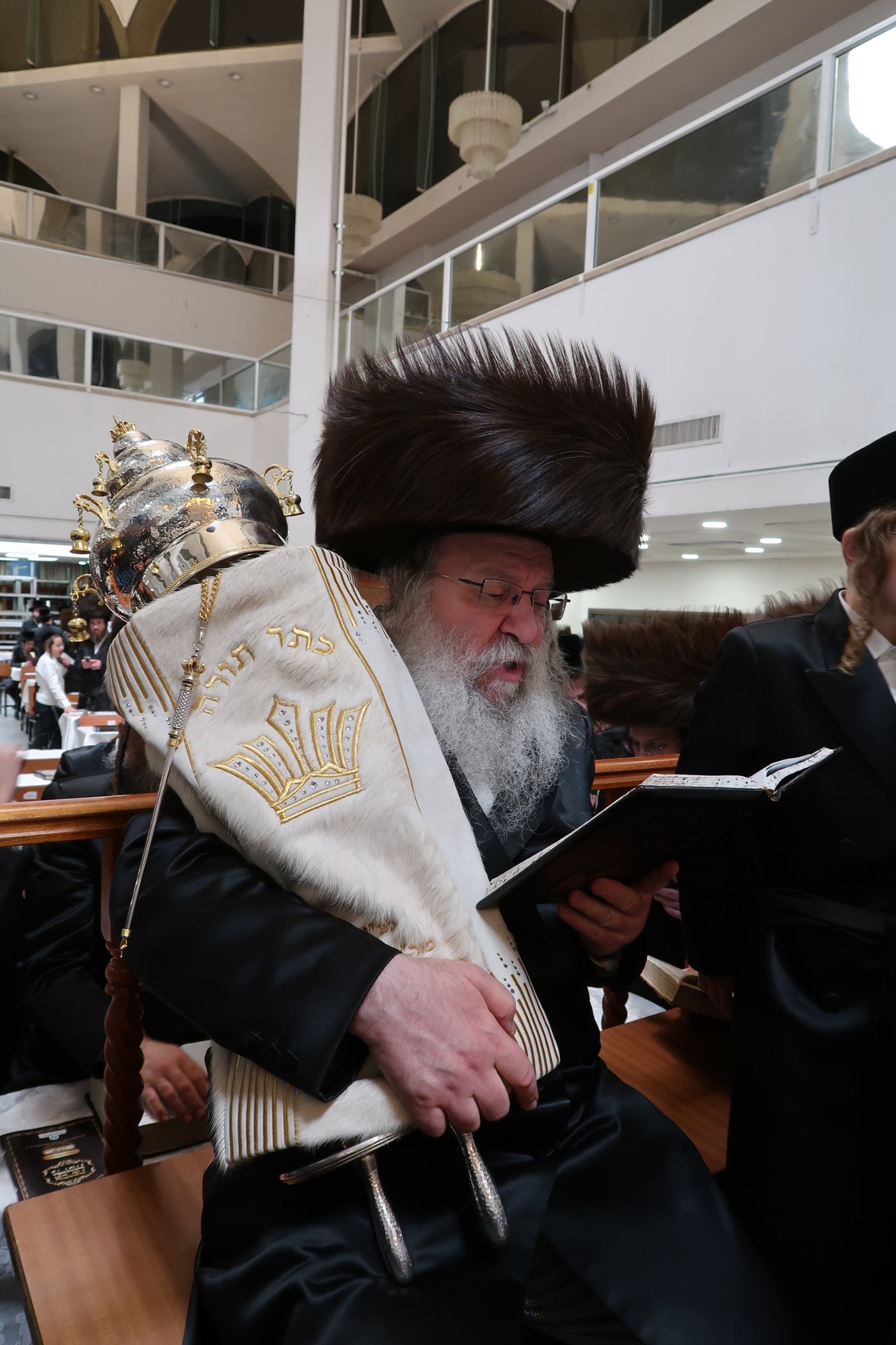ירח האיתנים בחצר הקודש נדבורנה | צילום: שוקי לרר, אברומי בערגער, מ.ש.