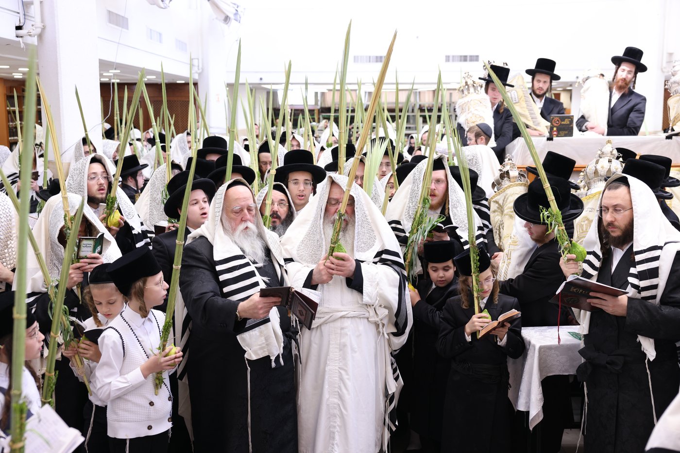 ירח האיתנים בחצר הקודש נדבורנה | צילום: שוקי לרר, אברומי בערגער, מ.ש.