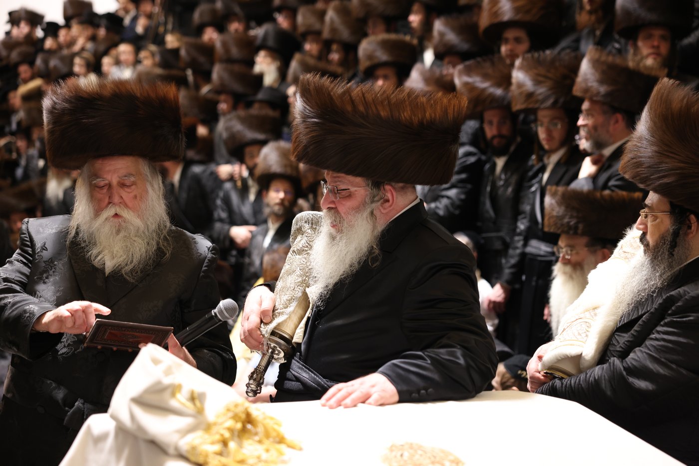 ירח האיתנים בחצר הקודש נדבורנה | צילום: שוקי לרר, אברומי בערגער, מ.ש.