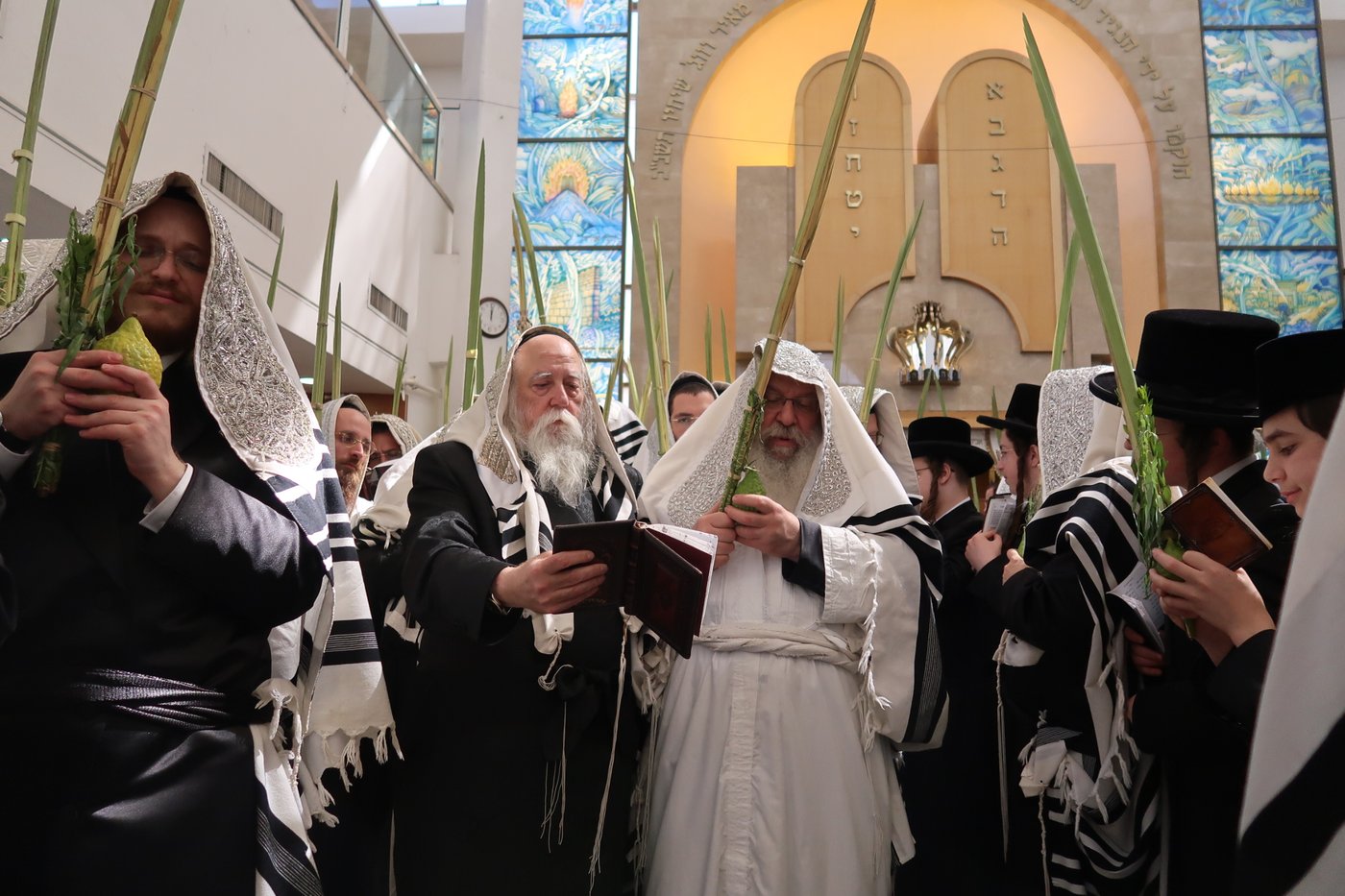 ירח האיתנים בחצר הקודש נדבורנה | צילום: שוקי לרר, אברומי בערגער, מ.ש.