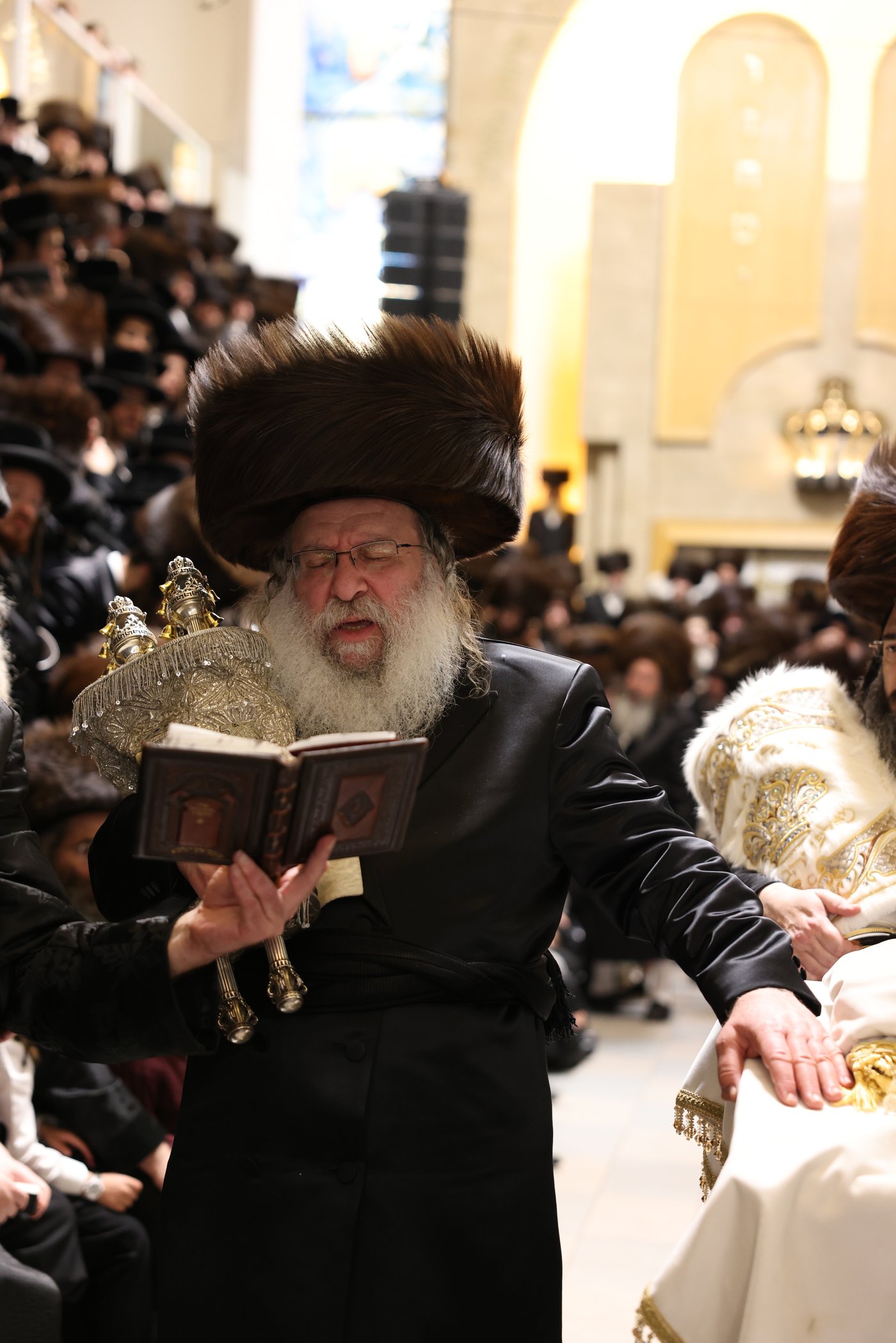 ירח האיתנים בחצר הקודש נדבורנה | צילום: שוקי לרר, אברומי בערגער, מ.ש.