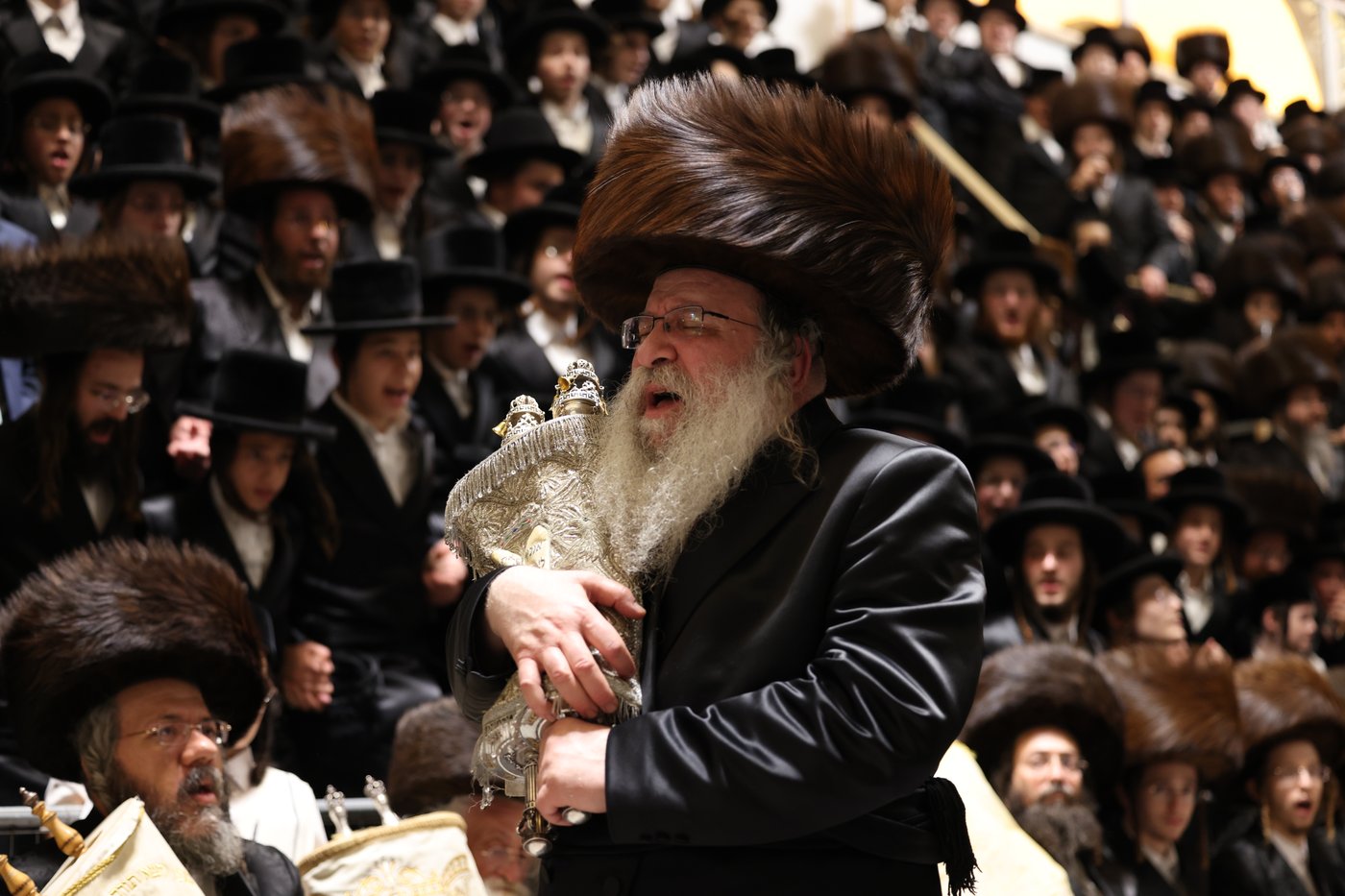 ירח האיתנים בחצר הקודש נדבורנה | צילום: שוקי לרר, אברומי בערגער, מ.ש.