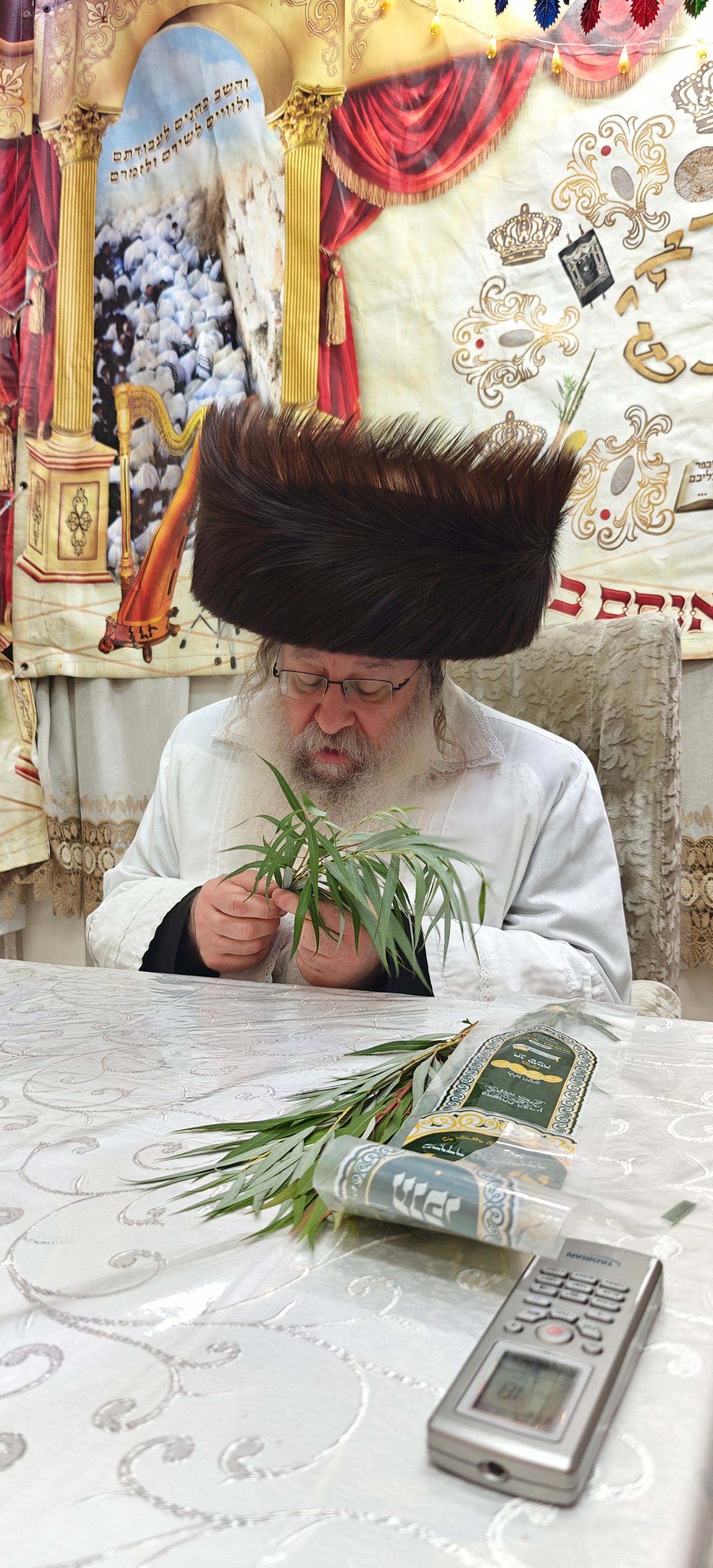 ירח האיתנים בחצר הקודש נדבורנה | צילום: שוקי לרר, אברומי בערגער, מ.ש.