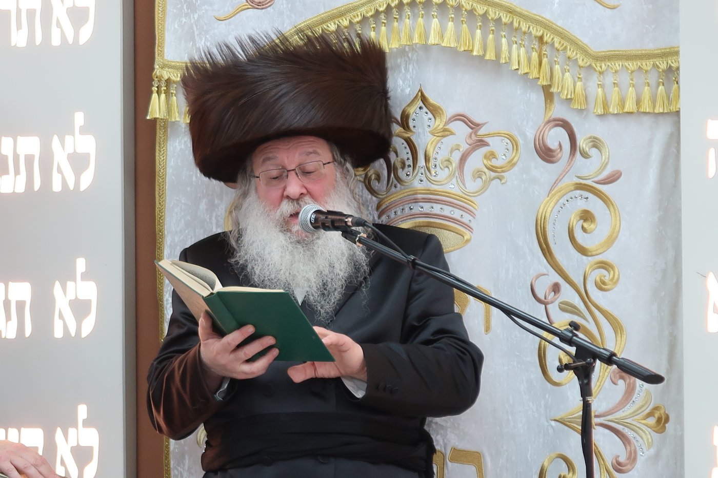 ירח האיתנים בחצר הקודש נדבורנה | צילום: שוקי לרר, אברומי בערגער, מ.ש.