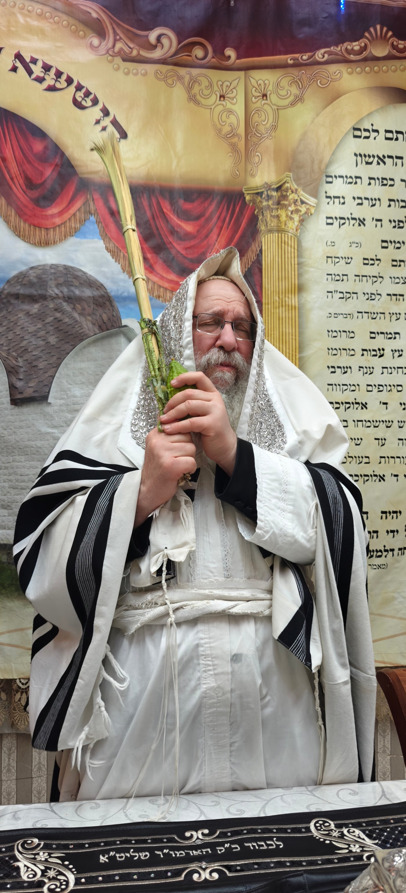 ירח האיתנים בחצר הקודש נדבורנה | צילום: שוקי לרר, אברומי בערגער, מ.ש.