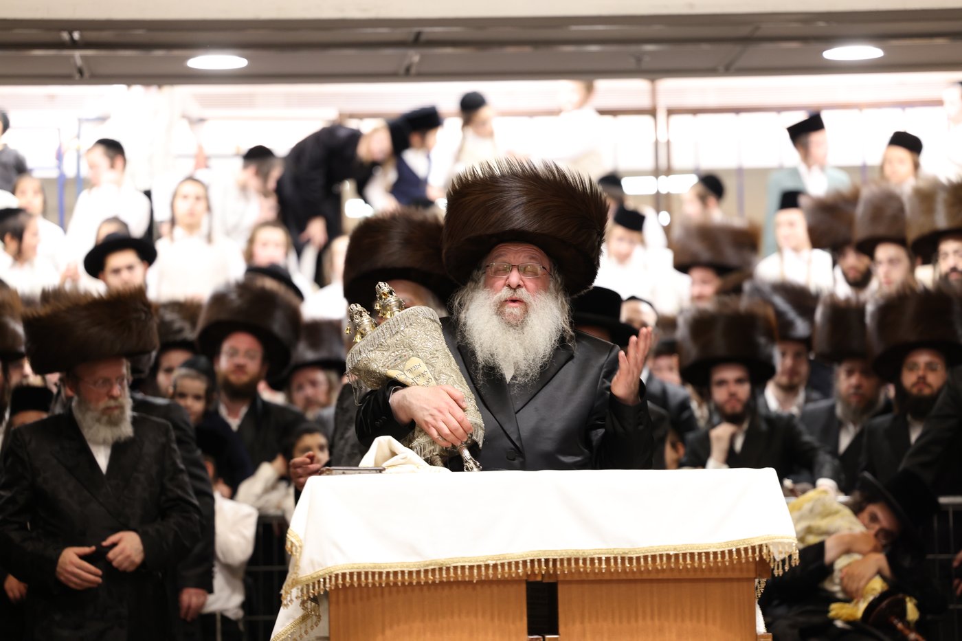 ירח האיתנים בחצר הקודש נדבורנה | צילום: שוקי לרר, אברומי בערגער, מ.ש.