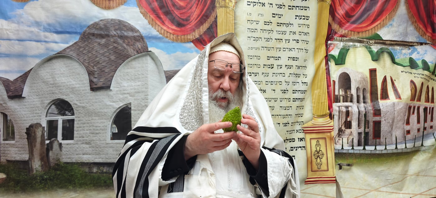 ירח האיתנים בחצר הקודש נדבורנה | צילום: שוקי לרר, אברומי בערגער, מ.ש.