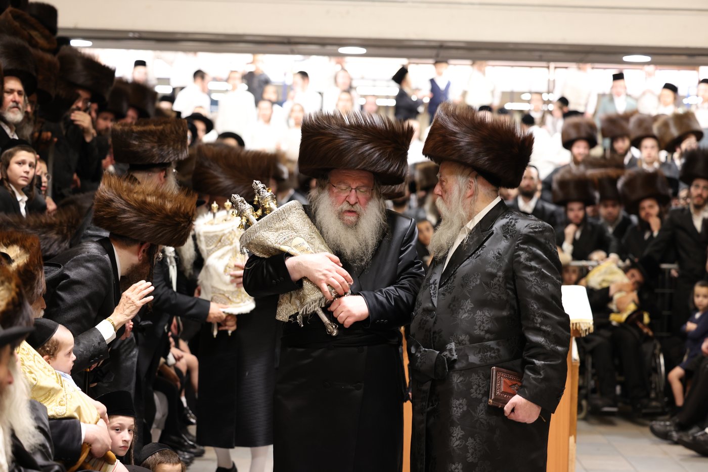 ירח האיתנים בחצר הקודש נדבורנה | צילום: שוקי לרר, אברומי בערגער, מ.ש.
