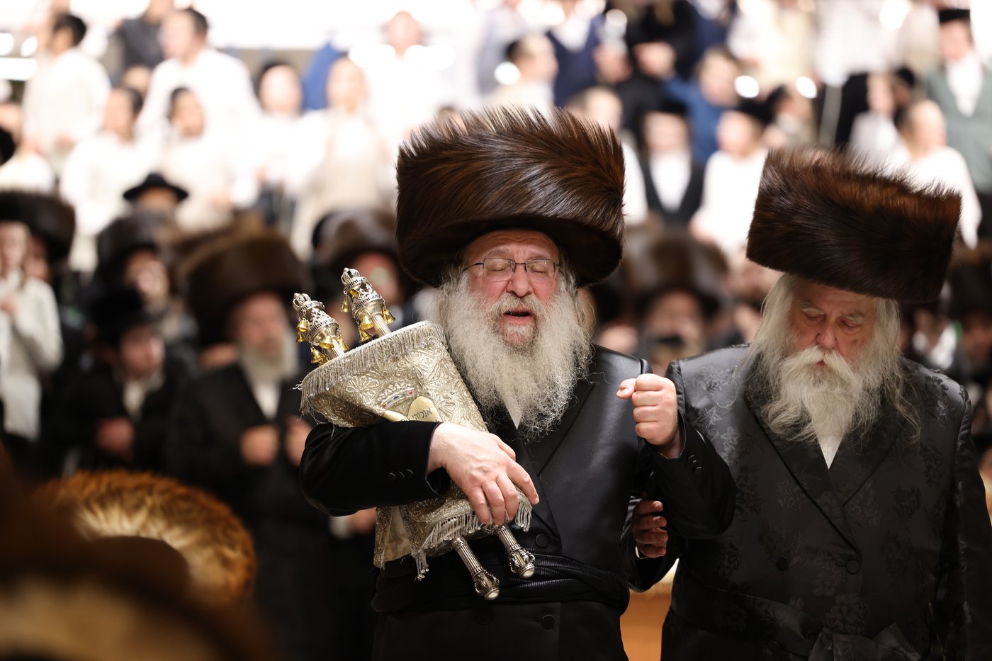 ירח האיתנים בחצר הקודש נדבורנה | צילום: שוקי לרר, אברומי בערגער, מ.ש.