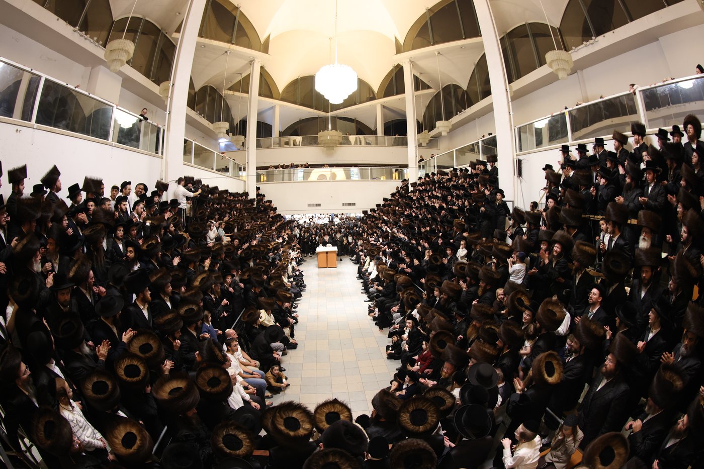 ירח האיתנים בחצר הקודש נדבורנה | צילום: שוקי לרר, אברומי בערגער, מ.ש.